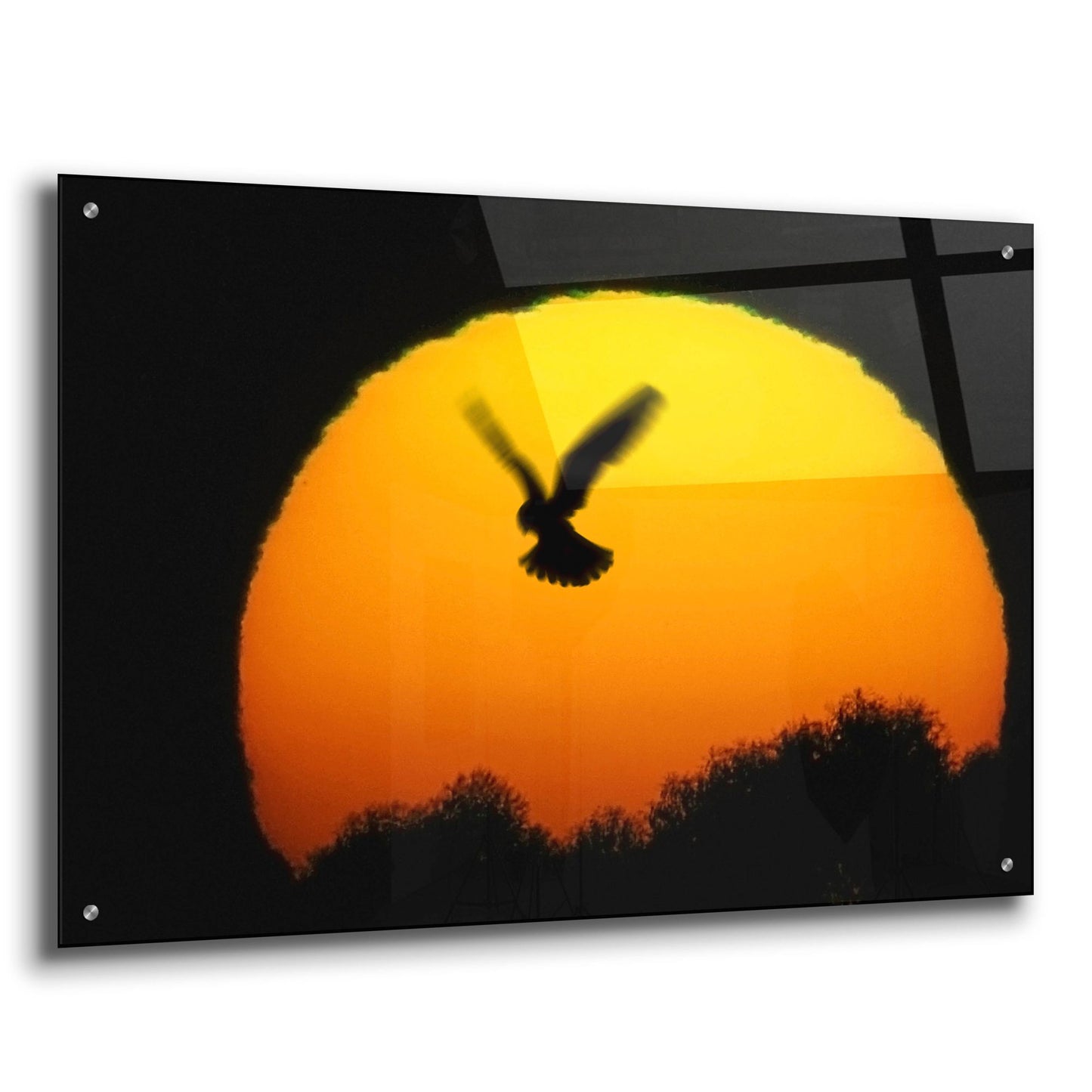 Epic Art 'Into the Sun' by SD Smart, Acrylic Glass Wall Art,36x24