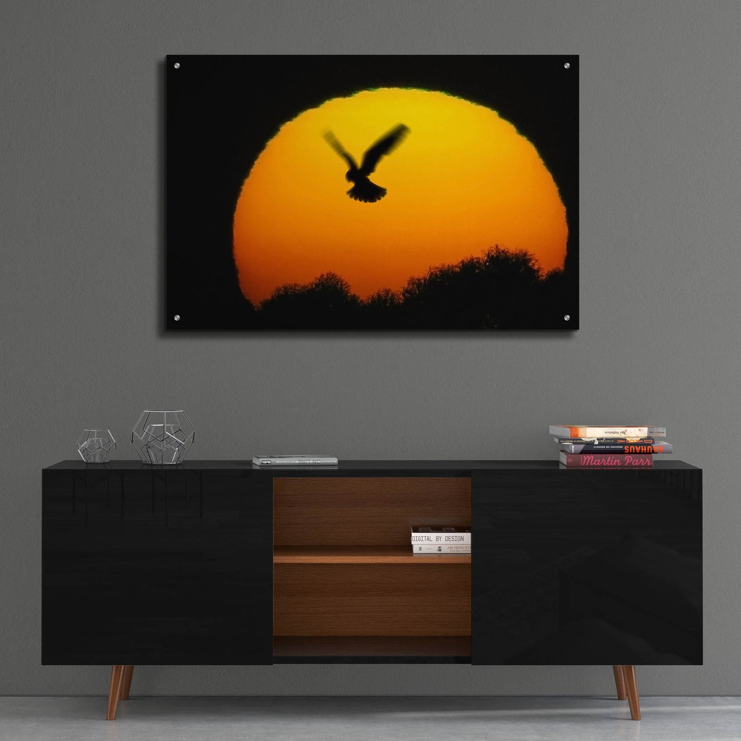 Epic Art 'Into the Sun' by SD Smart, Acrylic Glass Wall Art,36x24