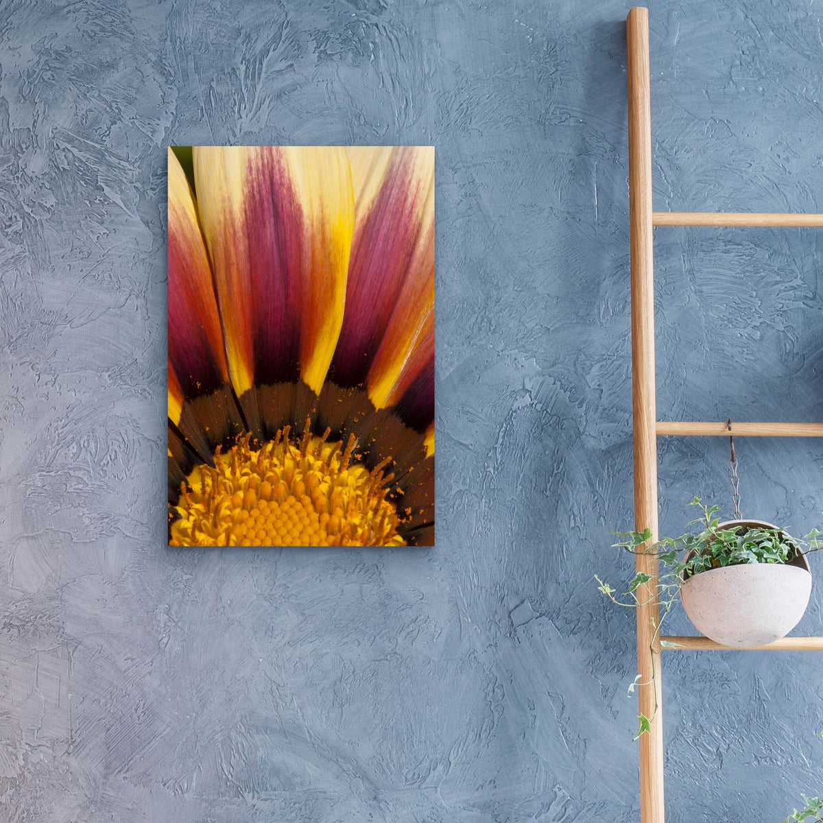 Epic Art 'Five' by SD Smart, Acrylic Glass Wall Art,16x24