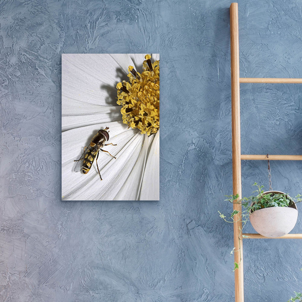 Epic Art 'One' by SD Smart, Acrylic Glass Wall Art,16x24