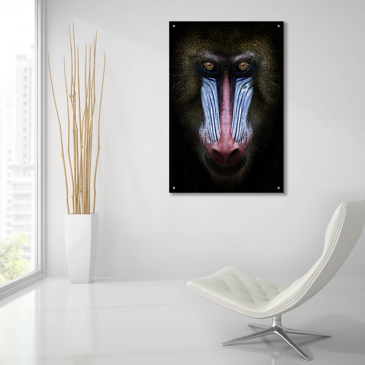 Epic Art 'Mandrill' by SD Smart, Acrylic Glass Wall Art,24x36