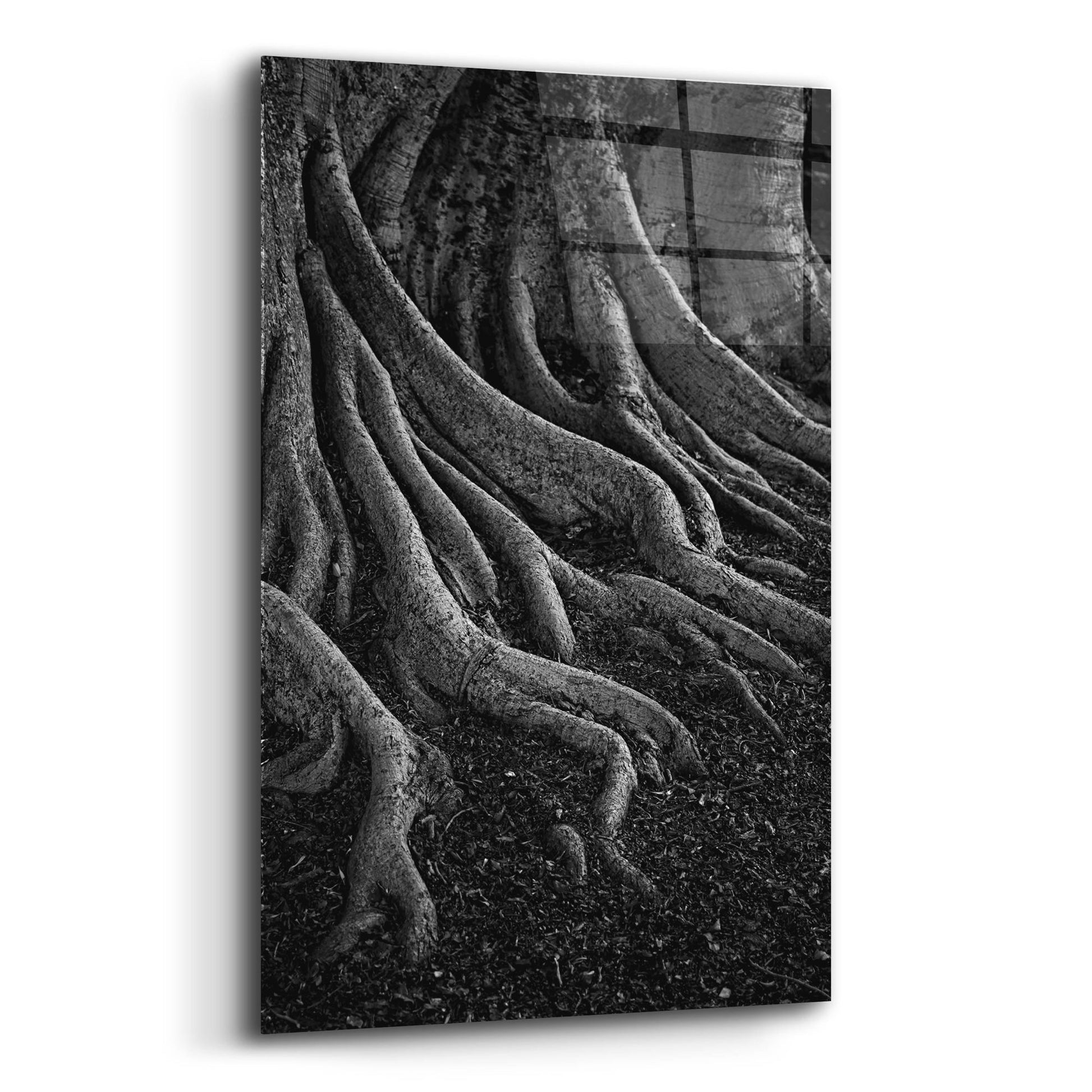 Epic Art 'Entrenched' by SD Smart, Acrylic Glass Wall Art,12x16