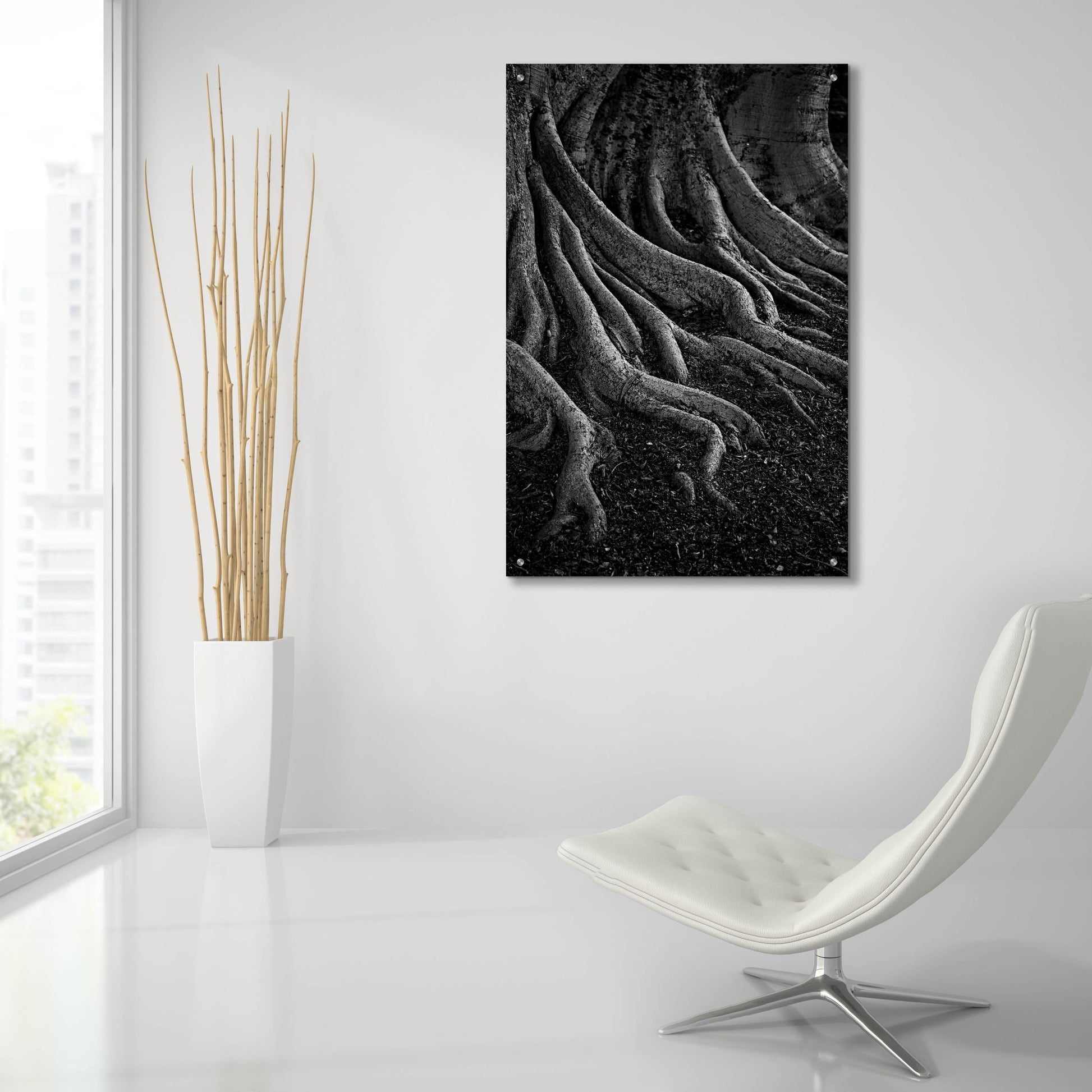 Epic Art 'Entrenched' by SD Smart, Acrylic Glass Wall Art,24x36