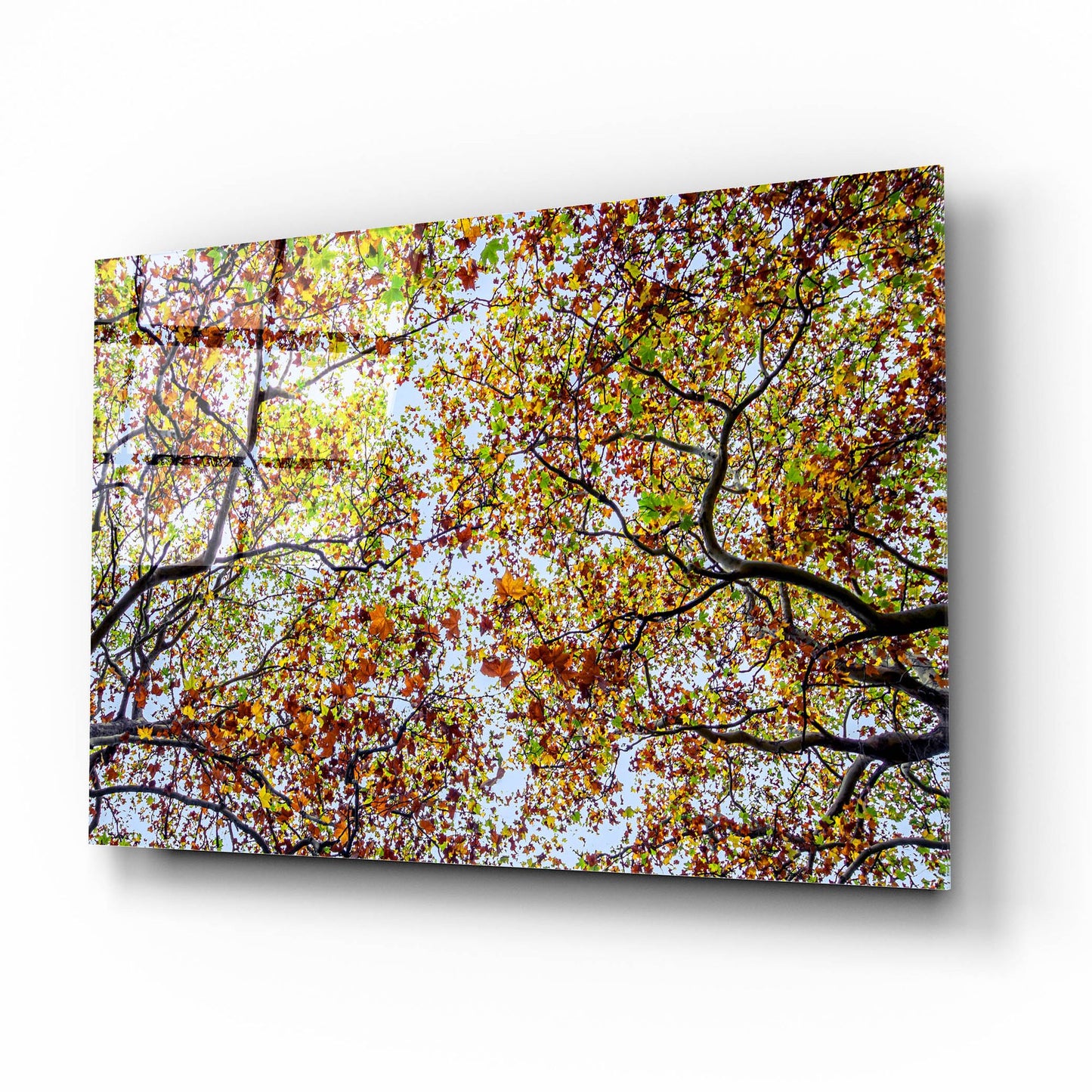 Epic Art 'Autumn Colors' by SD Smart, Acrylic Glass Wall Art,16x12