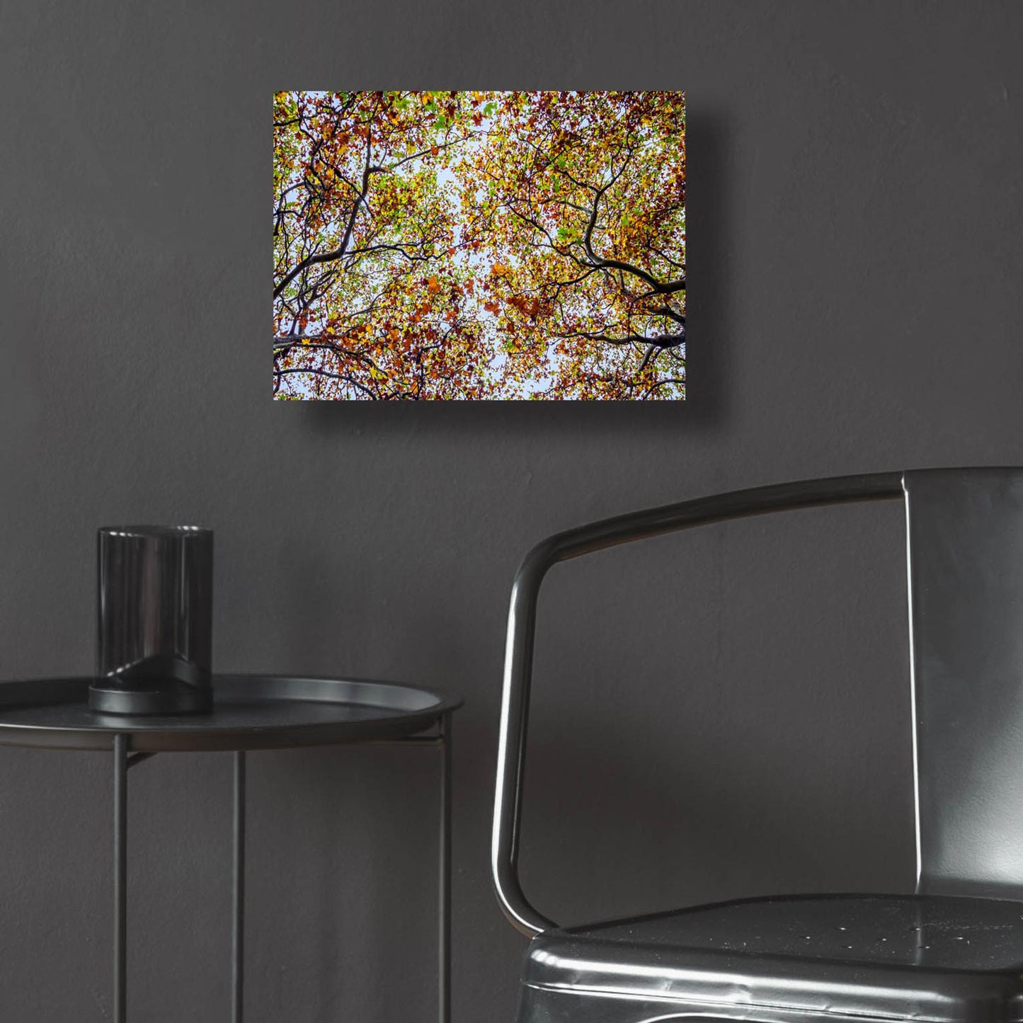 Epic Art 'Autumn Colors' by SD Smart, Acrylic Glass Wall Art,16x12