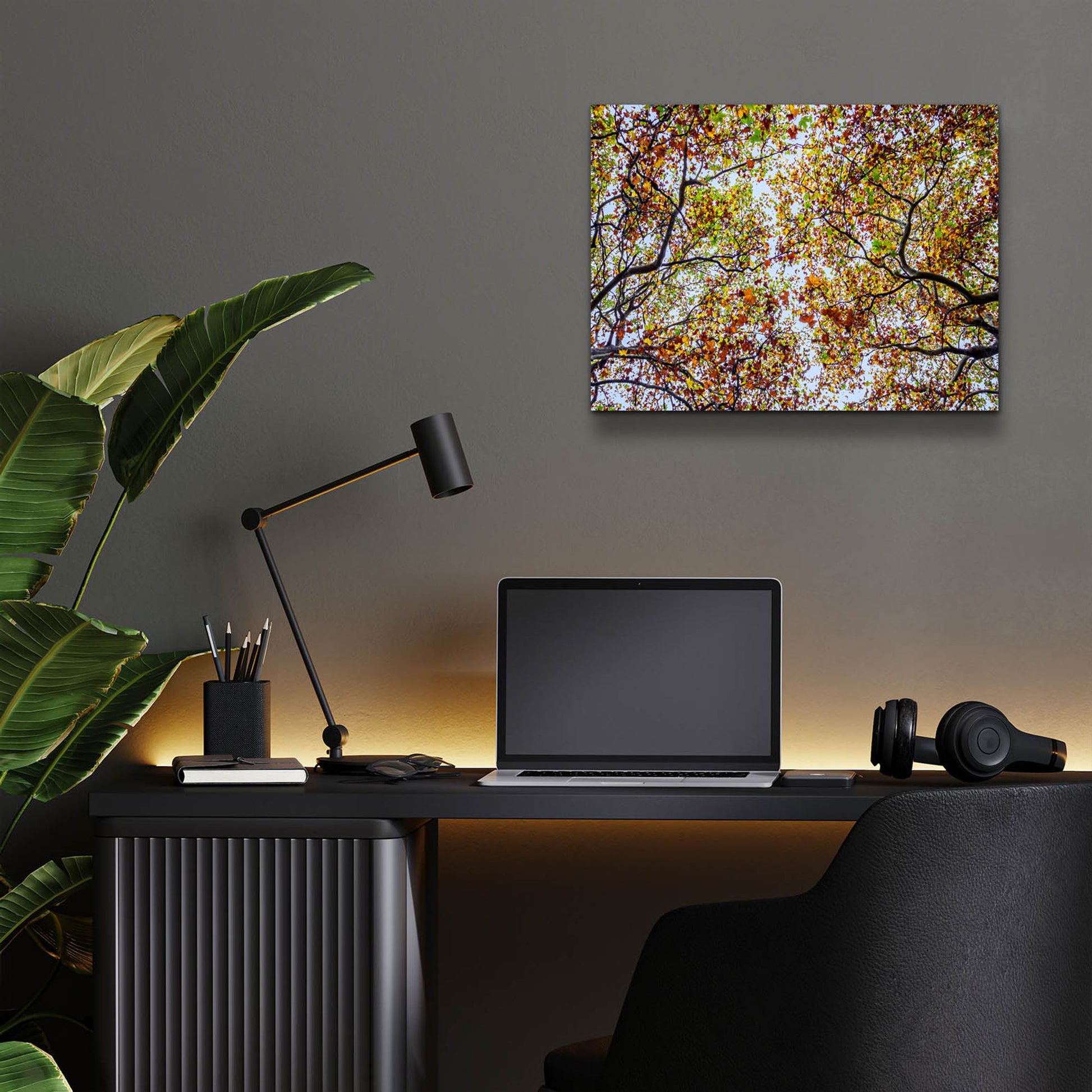 Epic Art 'Autumn Colors' by SD Smart, Acrylic Glass Wall Art,16x12