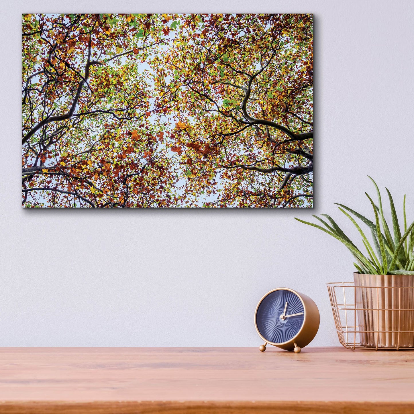 Epic Art 'Autumn Colors' by SD Smart, Acrylic Glass Wall Art,16x12