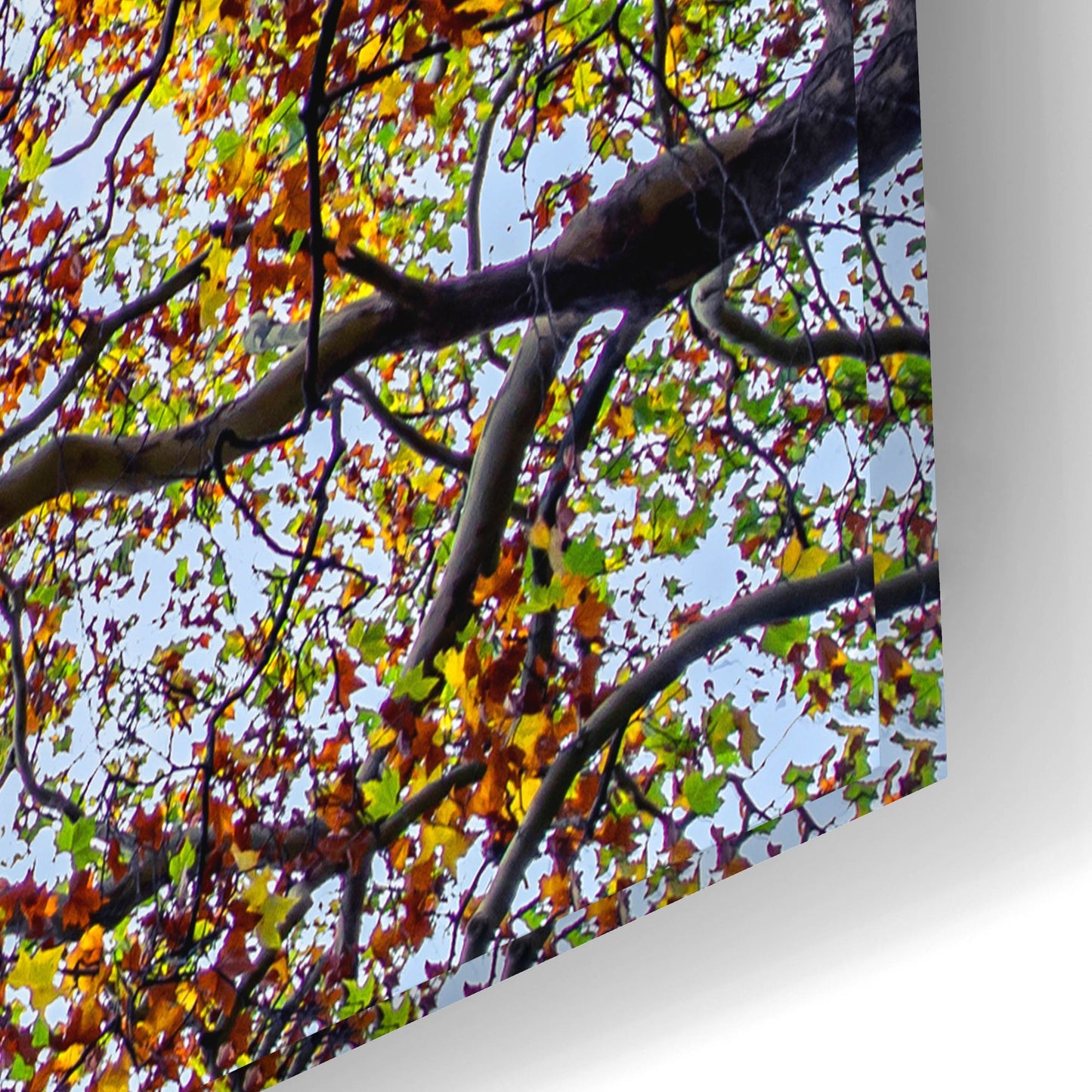 Epic Art 'Autumn Colors' by SD Smart, Acrylic Glass Wall Art,24x16