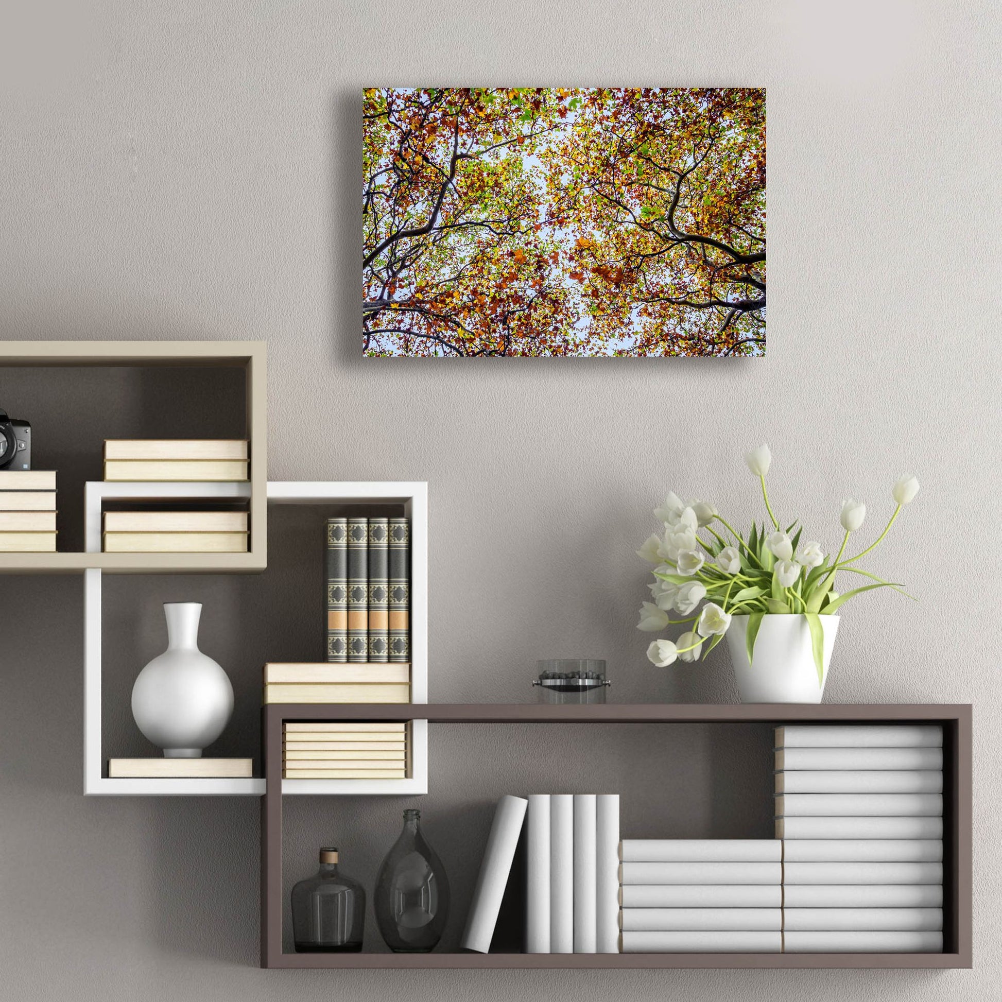 Epic Art 'Autumn Colors' by SD Smart, Acrylic Glass Wall Art,24x16