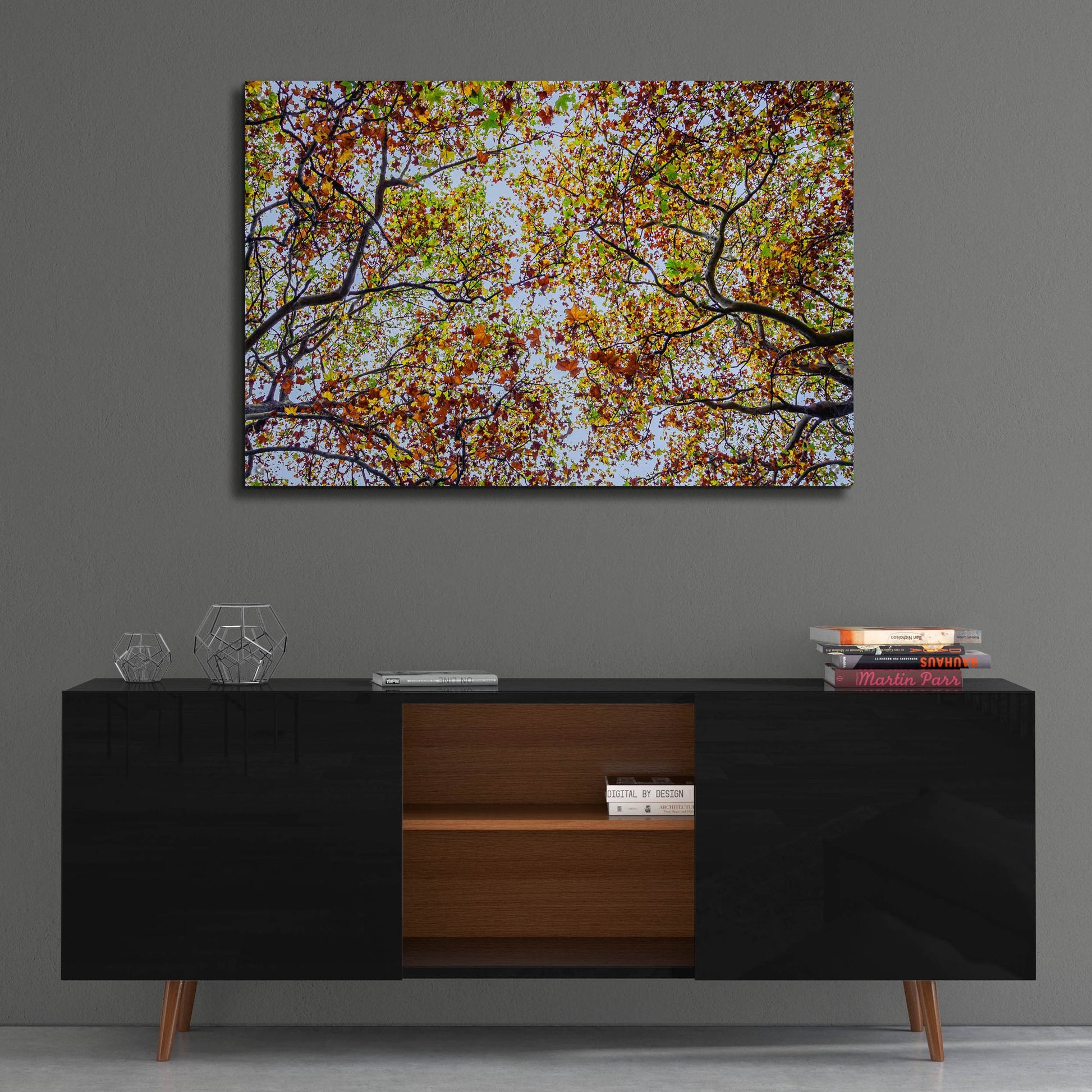 Epic Art 'Autumn Colors' by SD Smart, Acrylic Glass Wall Art,36x24