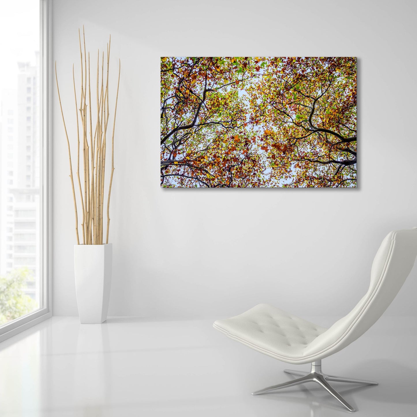 Epic Art 'Autumn Colors' by SD Smart, Acrylic Glass Wall Art,36x24