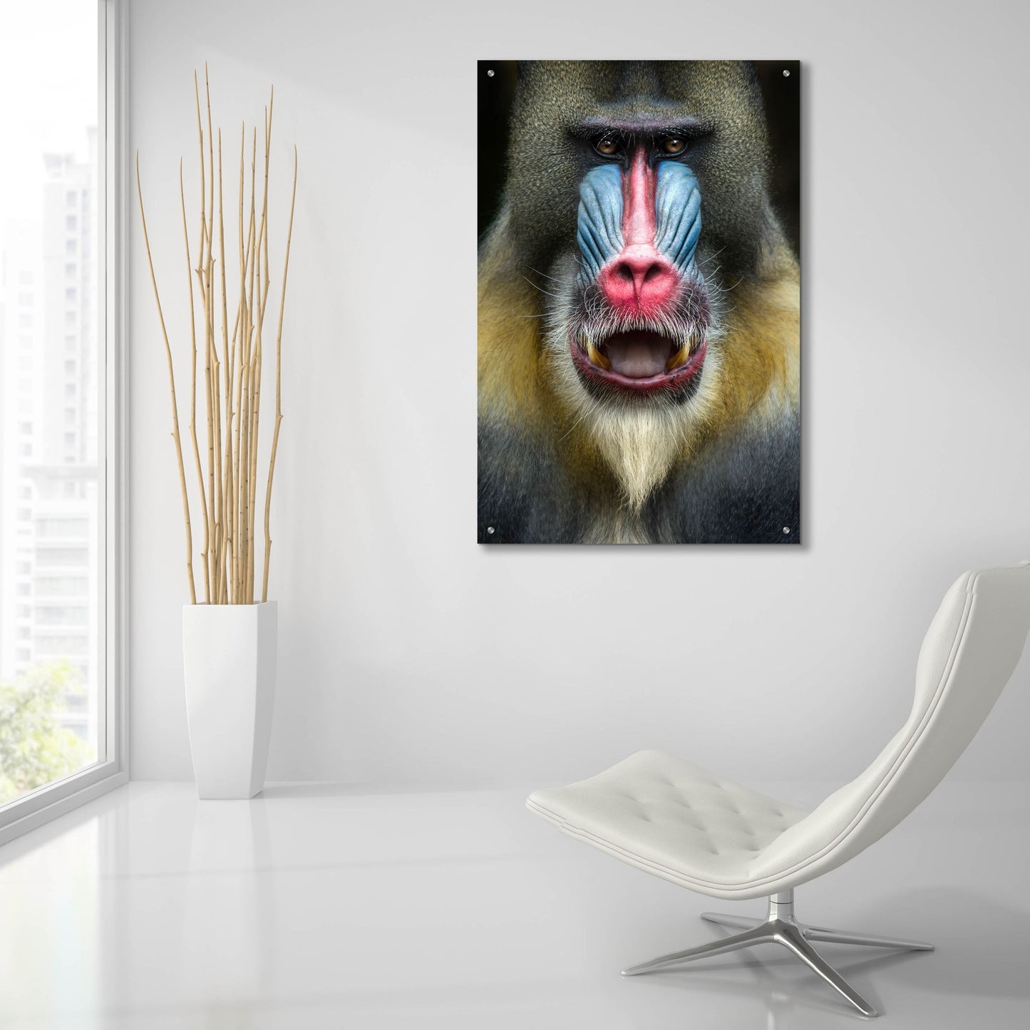 Epic Art 'Mandrill 2' by SD Smart, Acrylic Glass Wall Art,24x36