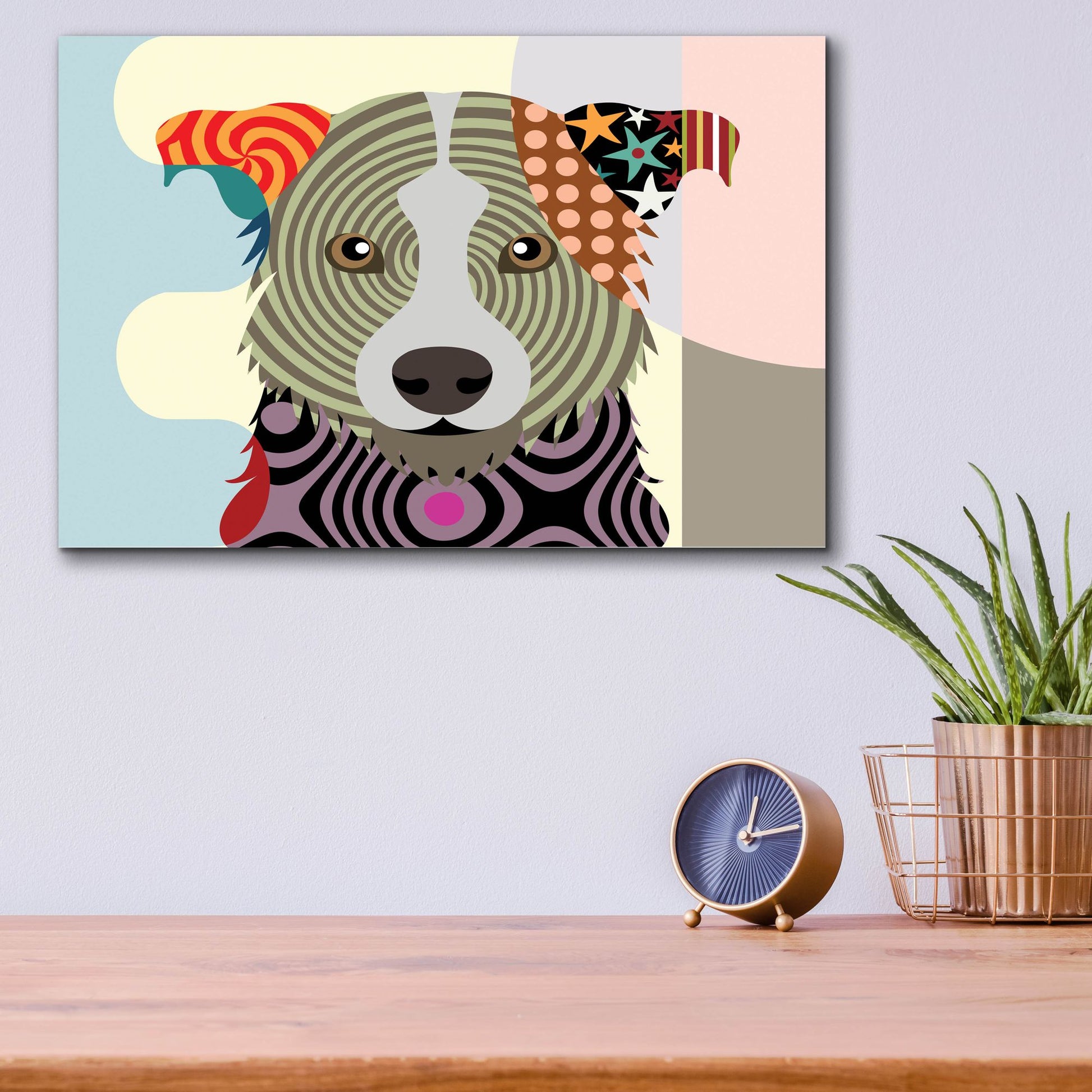 Epic Art 'Border Collie' by Lanre Adefioye, Acrylic Glass Wall Art,16x12