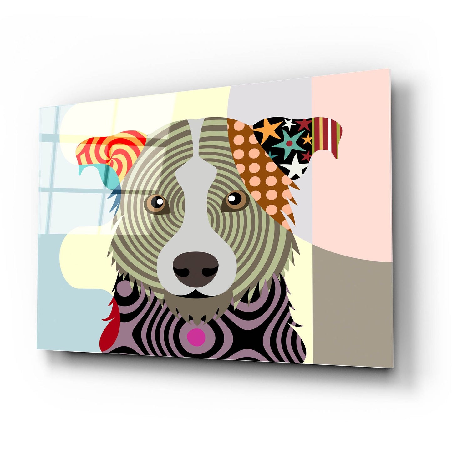 Epic Art 'Border Collie' by Lanre Adefioye, Acrylic Glass Wall Art,24x16