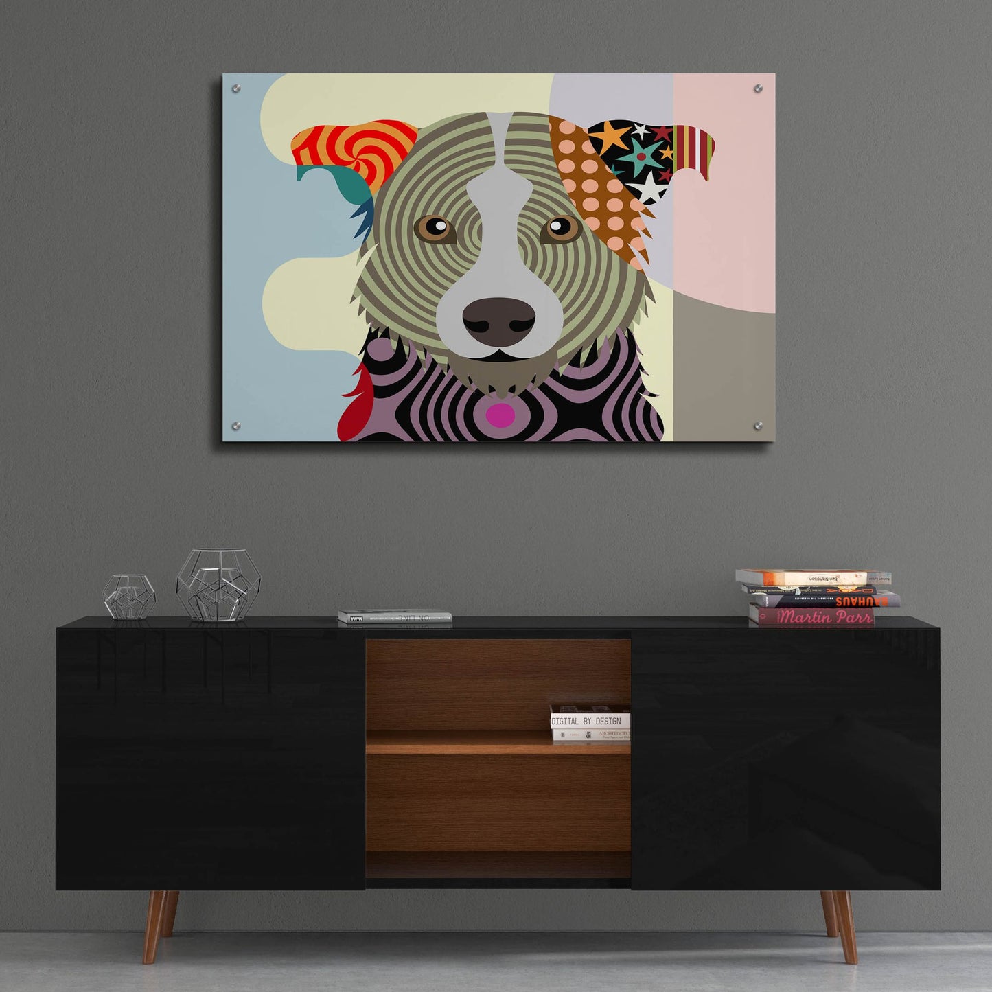 Epic Art 'Border Collie' by Lanre Adefioye, Acrylic Glass Wall Art,36x24