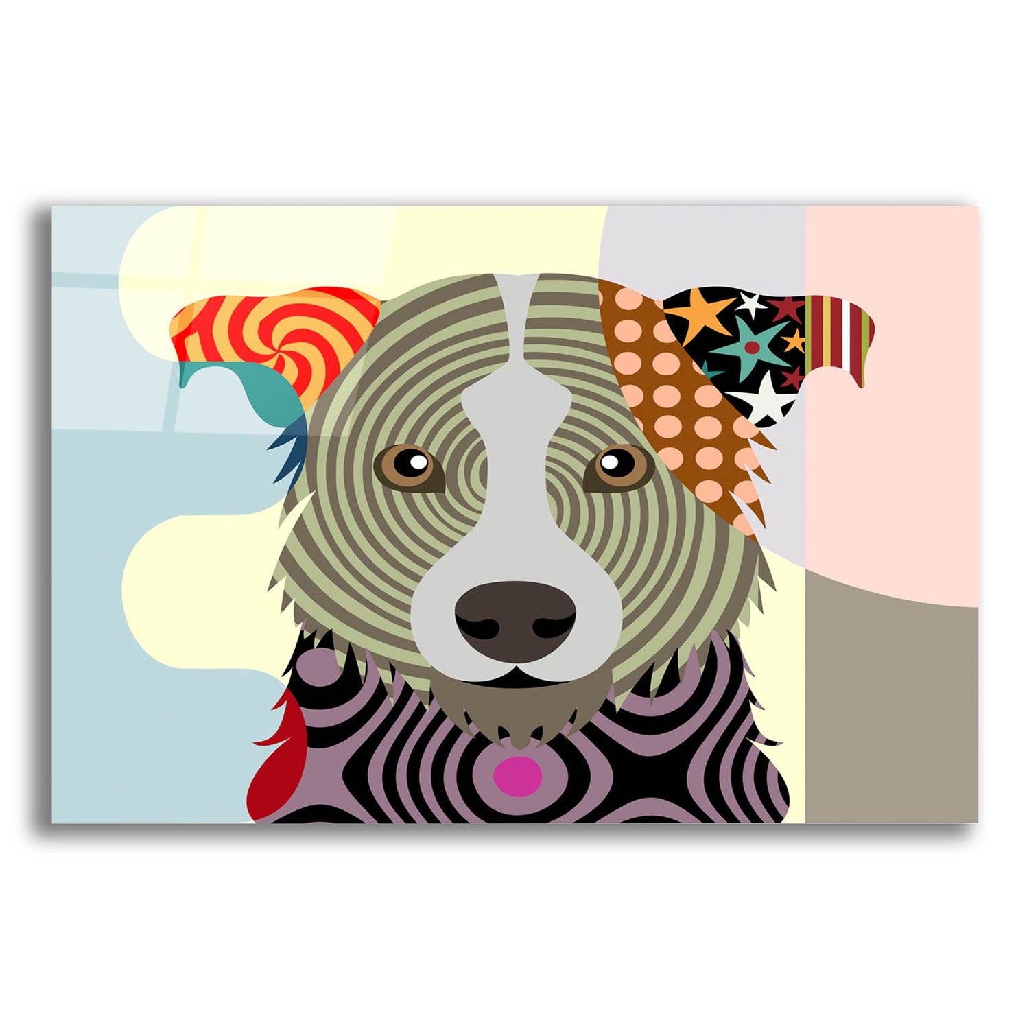 Epic Art 'Border Collie' by Lanre Adefioye, Acrylic Glass Wall Art