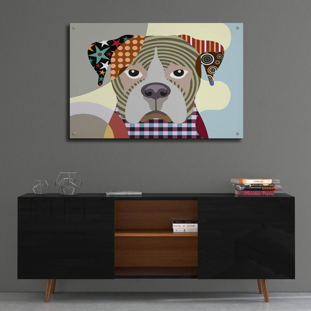 Epic Art 'Boxer Dog' by Lanre Adefioye, Acrylic Glass Wall Art,36x24