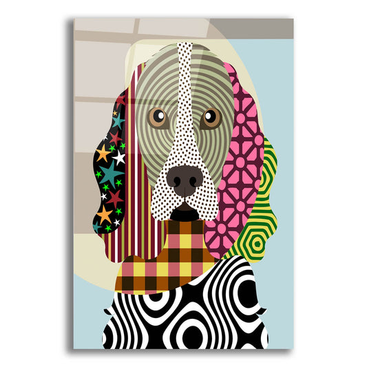 Epic Art 'Cocker Spaniel Dog' by Lanre Adefioye, Acrylic Glass Wall Art