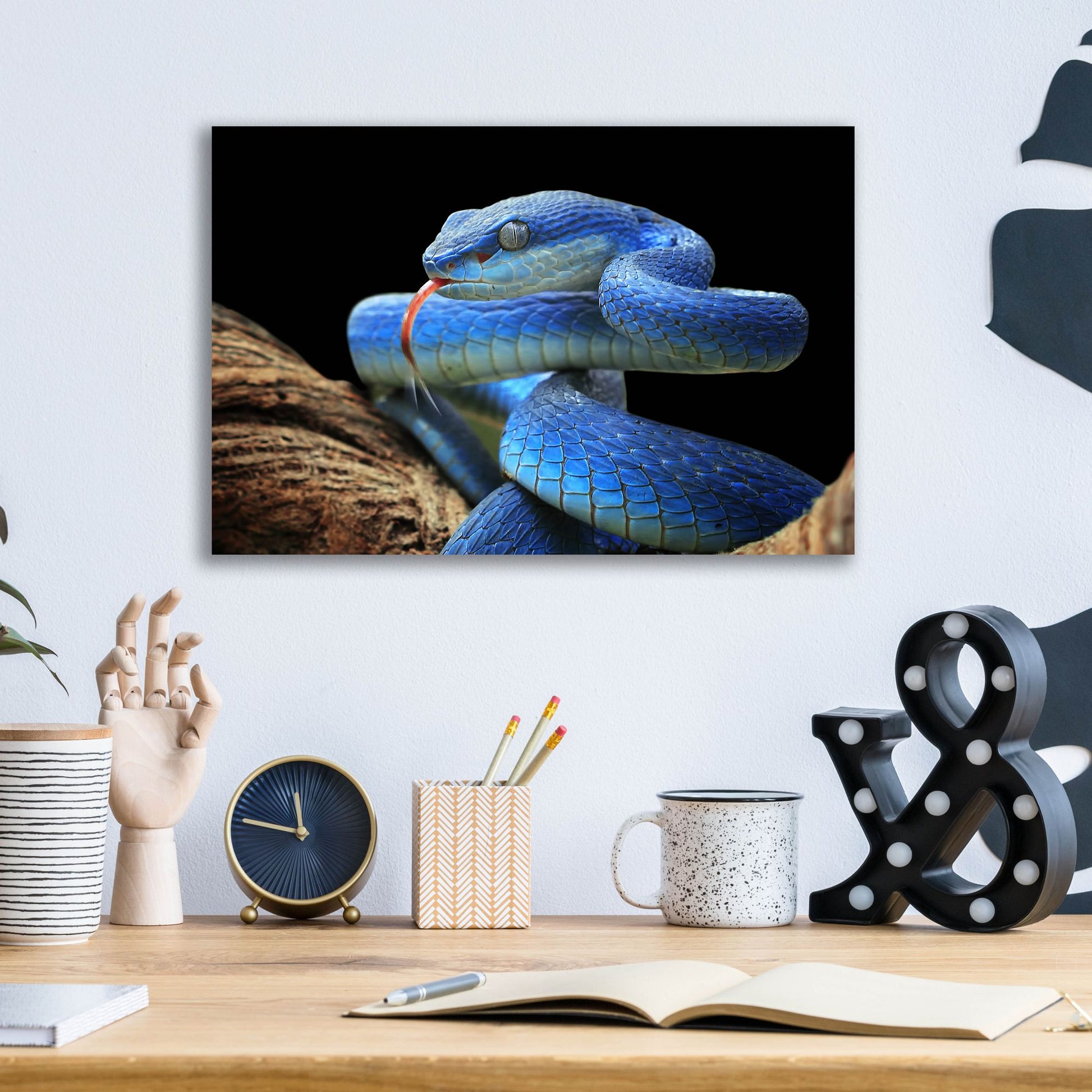 Epic Art 'Blue Viper Snake' by Epic Portfolio, Acrylic Glass Wall Art,16x12