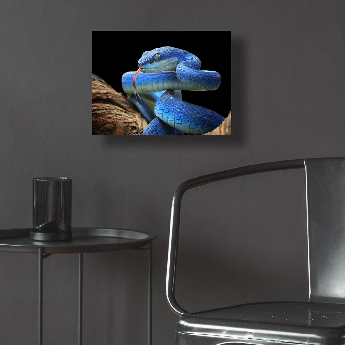 Epic Art 'Blue Viper Snake' by Epic Portfolio, Acrylic Glass Wall Art,16x12