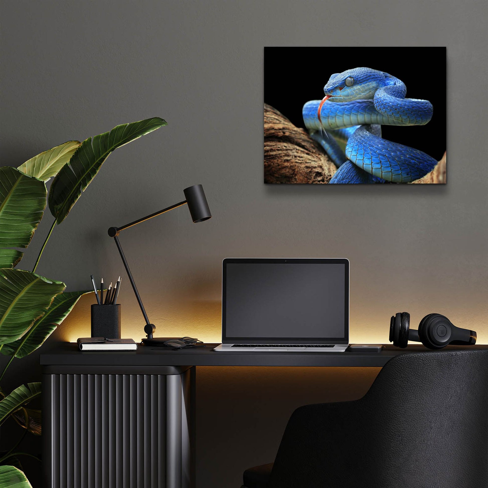 Epic Art 'Blue Viper Snake' by Epic Portfolio, Acrylic Glass Wall Art,16x12