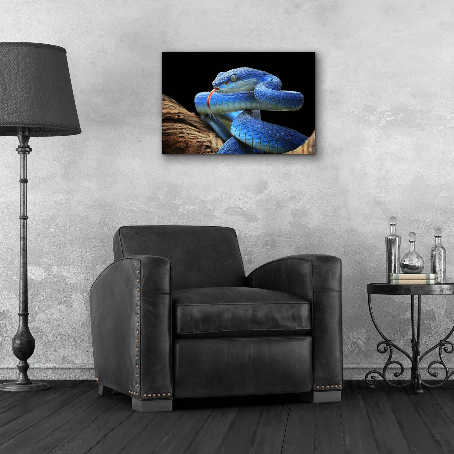 Epic Art 'Blue Viper Snake' by Epic Portfolio, Acrylic Glass Wall Art,24x16