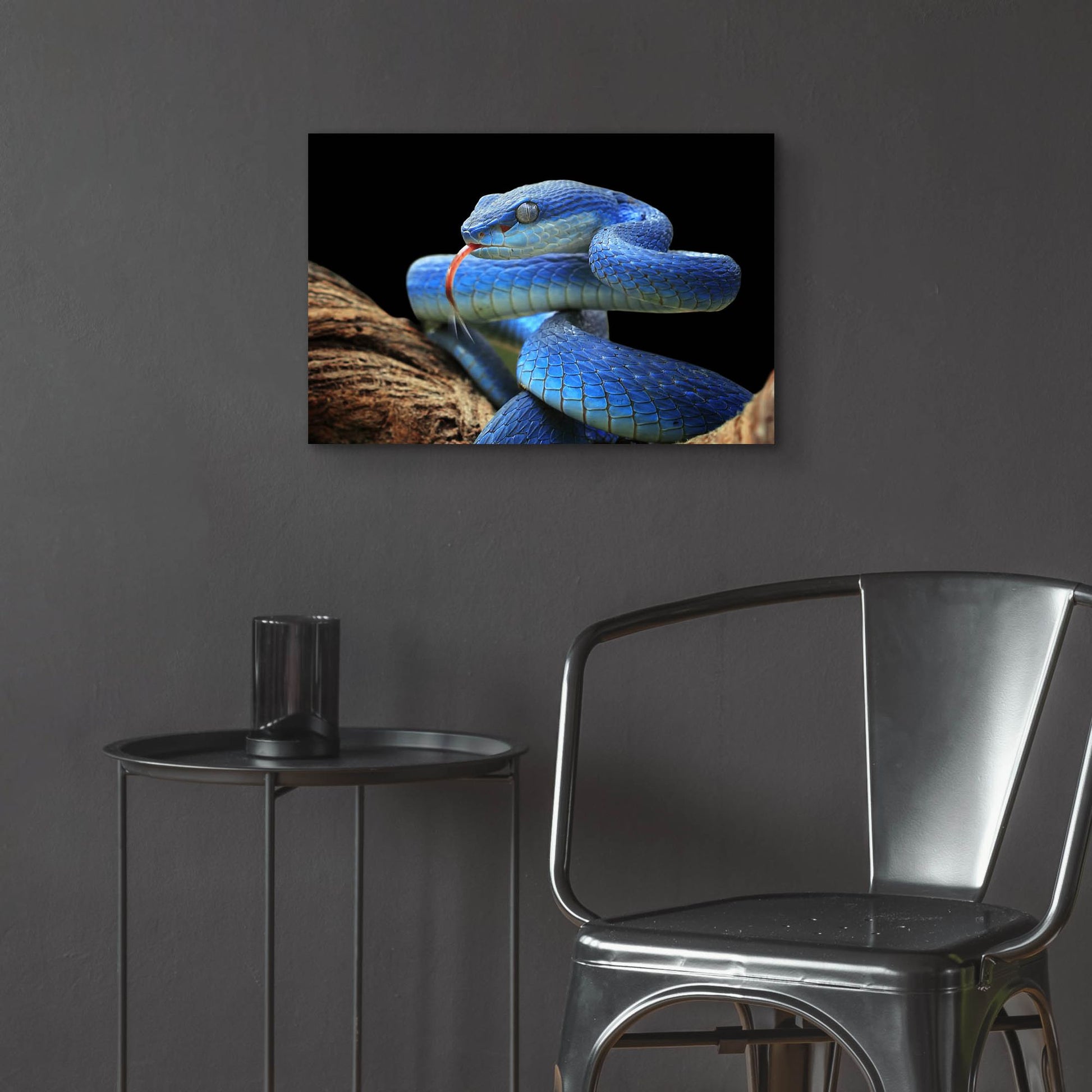 Epic Art 'Blue Viper Snake' by Epic Portfolio, Acrylic Glass Wall Art,24x16