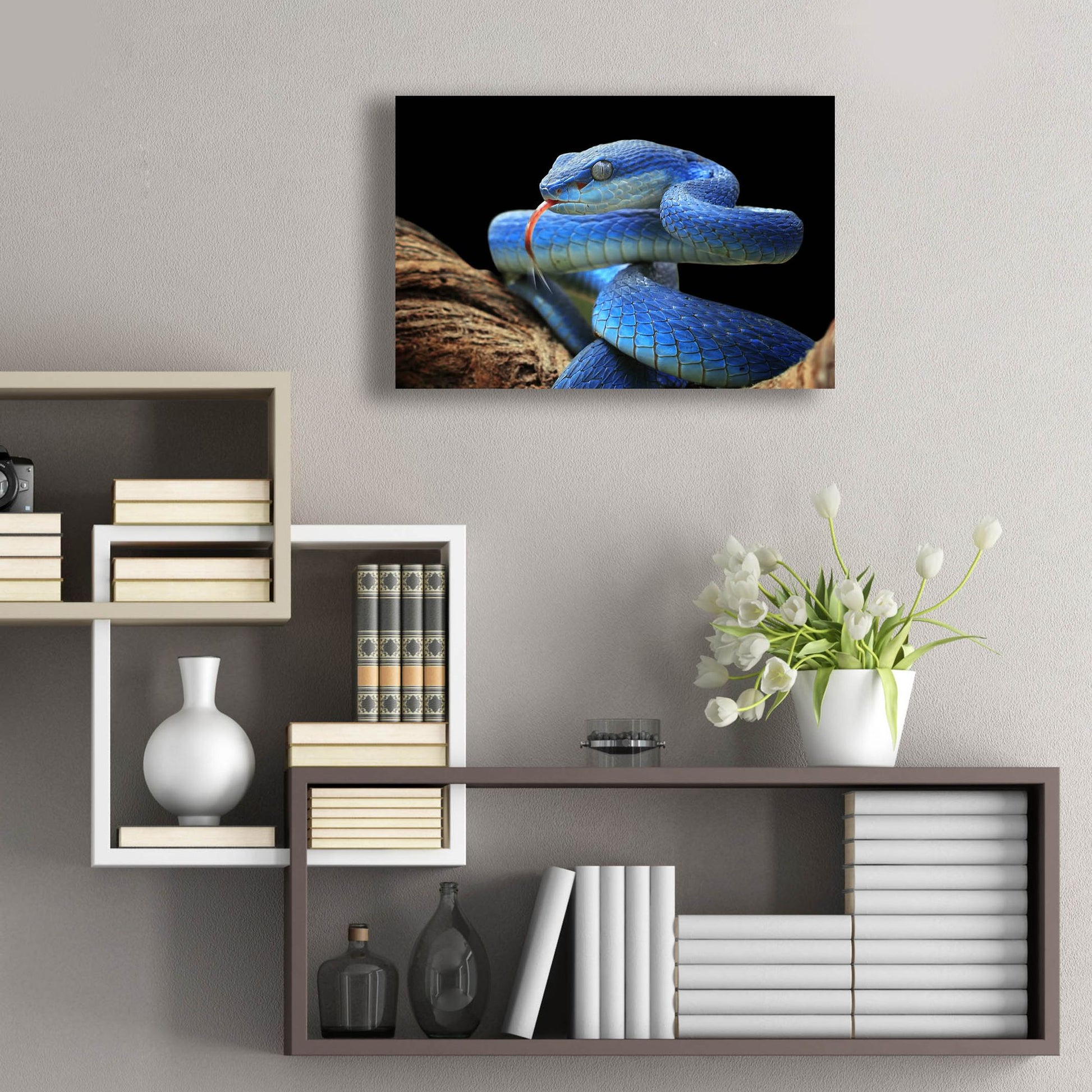 Epic Art 'Blue Viper Snake' by Epic Portfolio, Acrylic Glass Wall Art,24x16