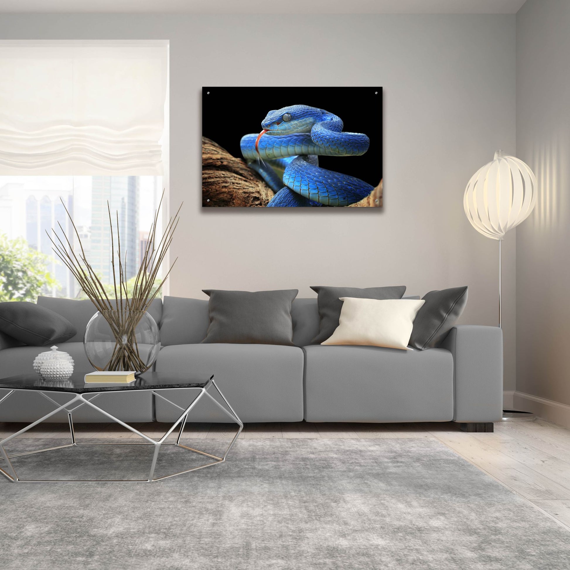 Epic Art 'Blue Viper Snake' by Epic Portfolio, Acrylic Glass Wall Art,36x24