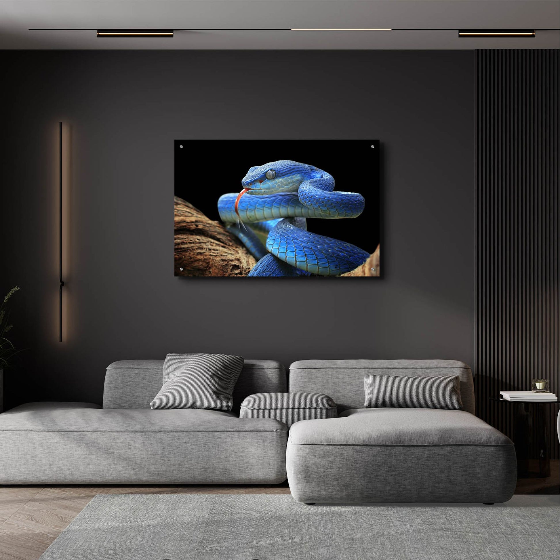 Epic Art 'Blue Viper Snake' by Epic Portfolio, Acrylic Glass Wall Art,36x24