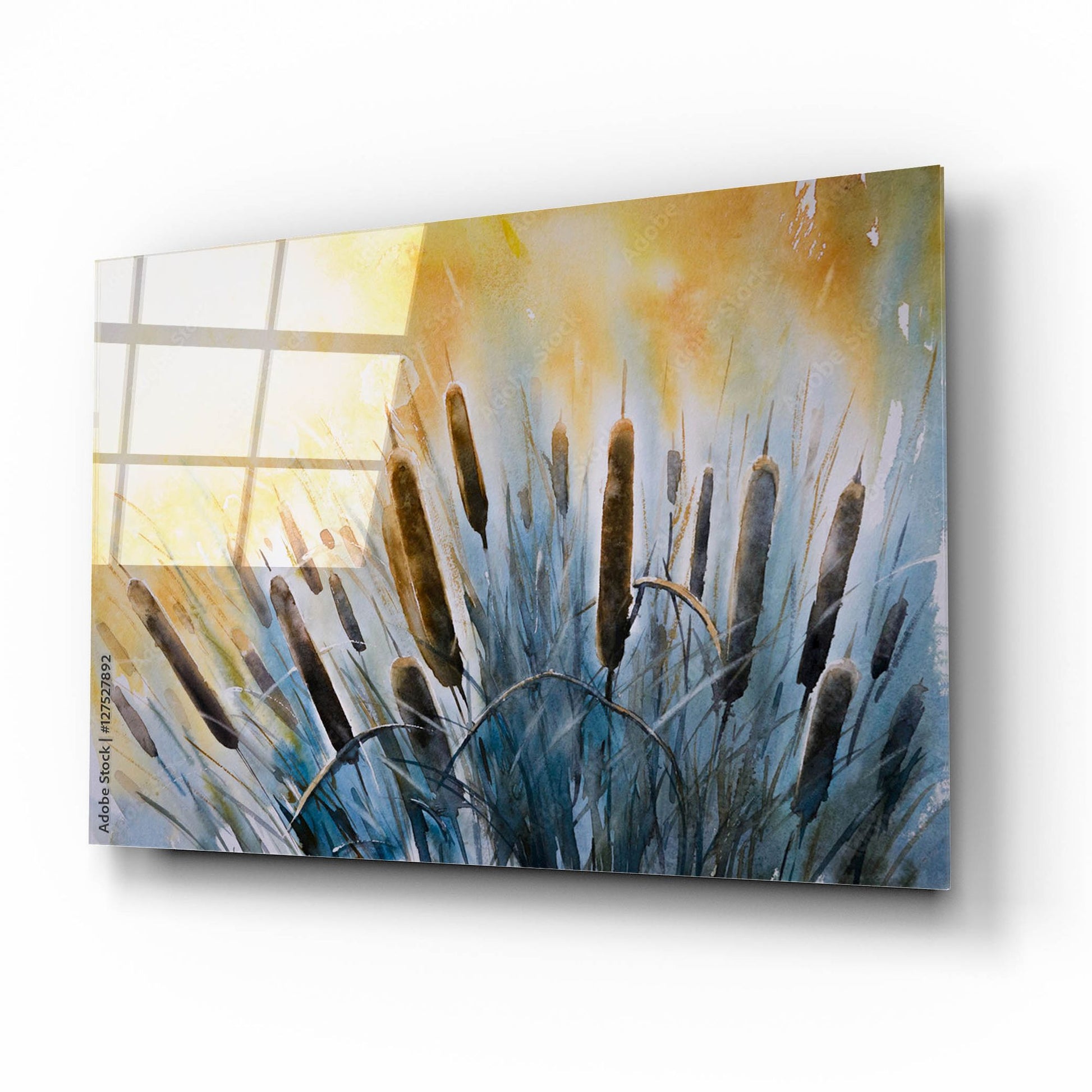 Epic Art 'Bulrush' by Epic Portfolio, Acrylic Glass Wall Art,16x12