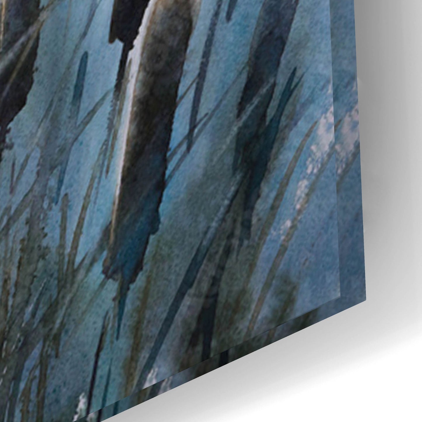 Epic Art 'Bulrush' by Epic Portfolio, Acrylic Glass Wall Art,24x16