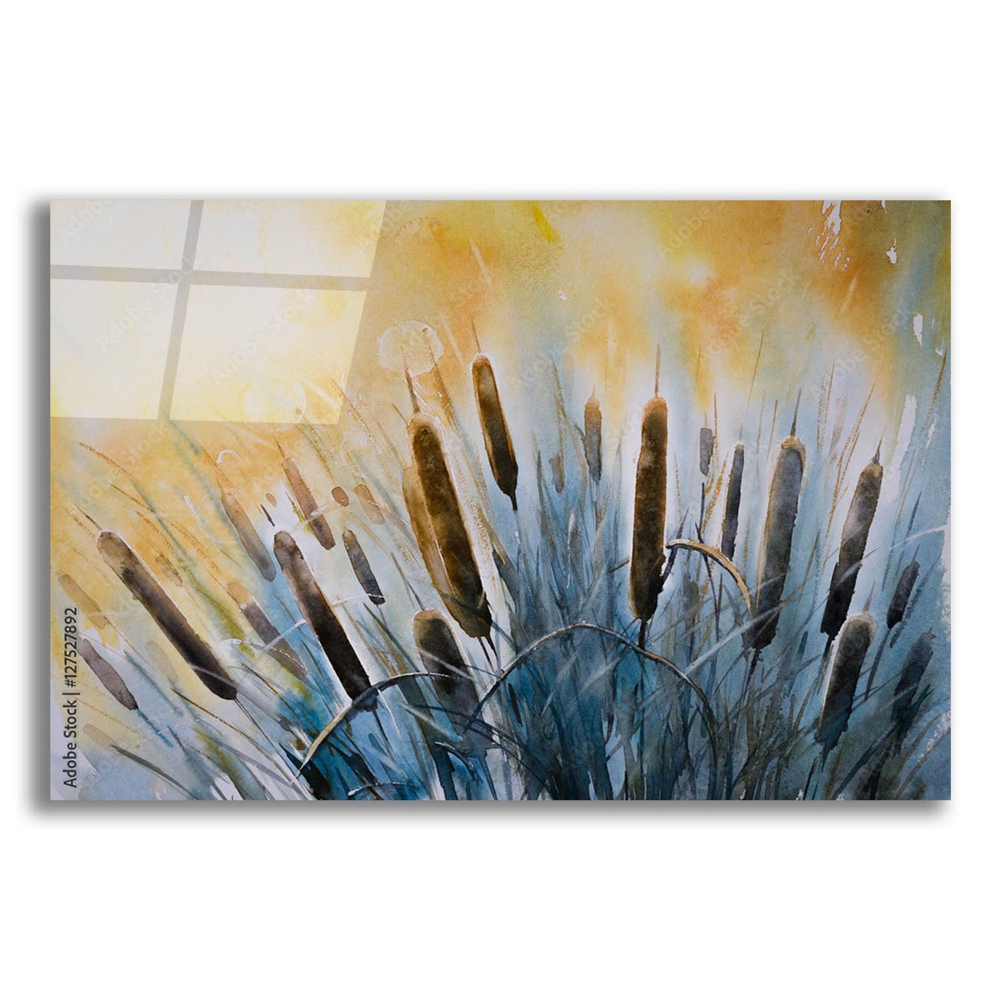 Epic Art 'Bulrush' by Epic Portfolio, Acrylic Glass Wall Art,24x16