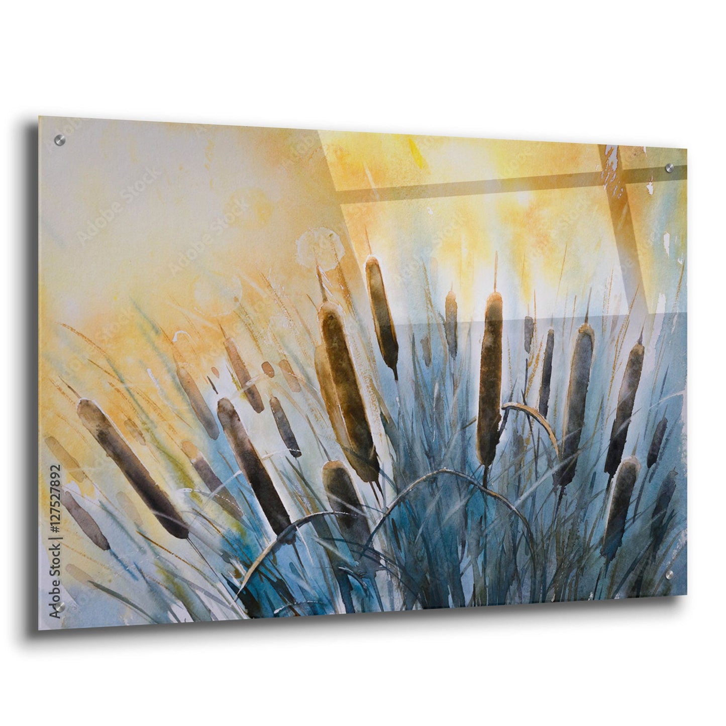 Epic Art 'Bulrush' by Epic Portfolio, Acrylic Glass Wall Art,36x24