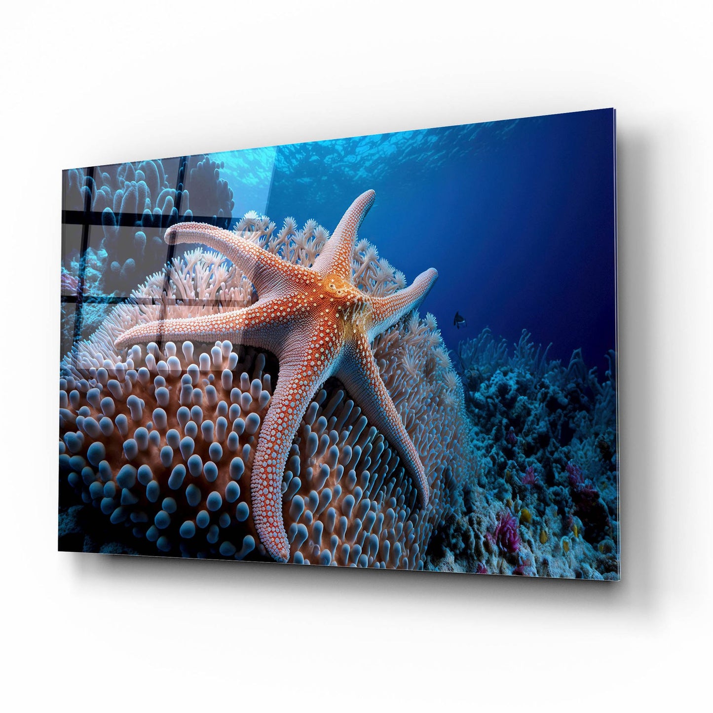 Epic Art 'Coral Starfish' by Epic Portfolio, Acrylic Glass Wall Art,16x12