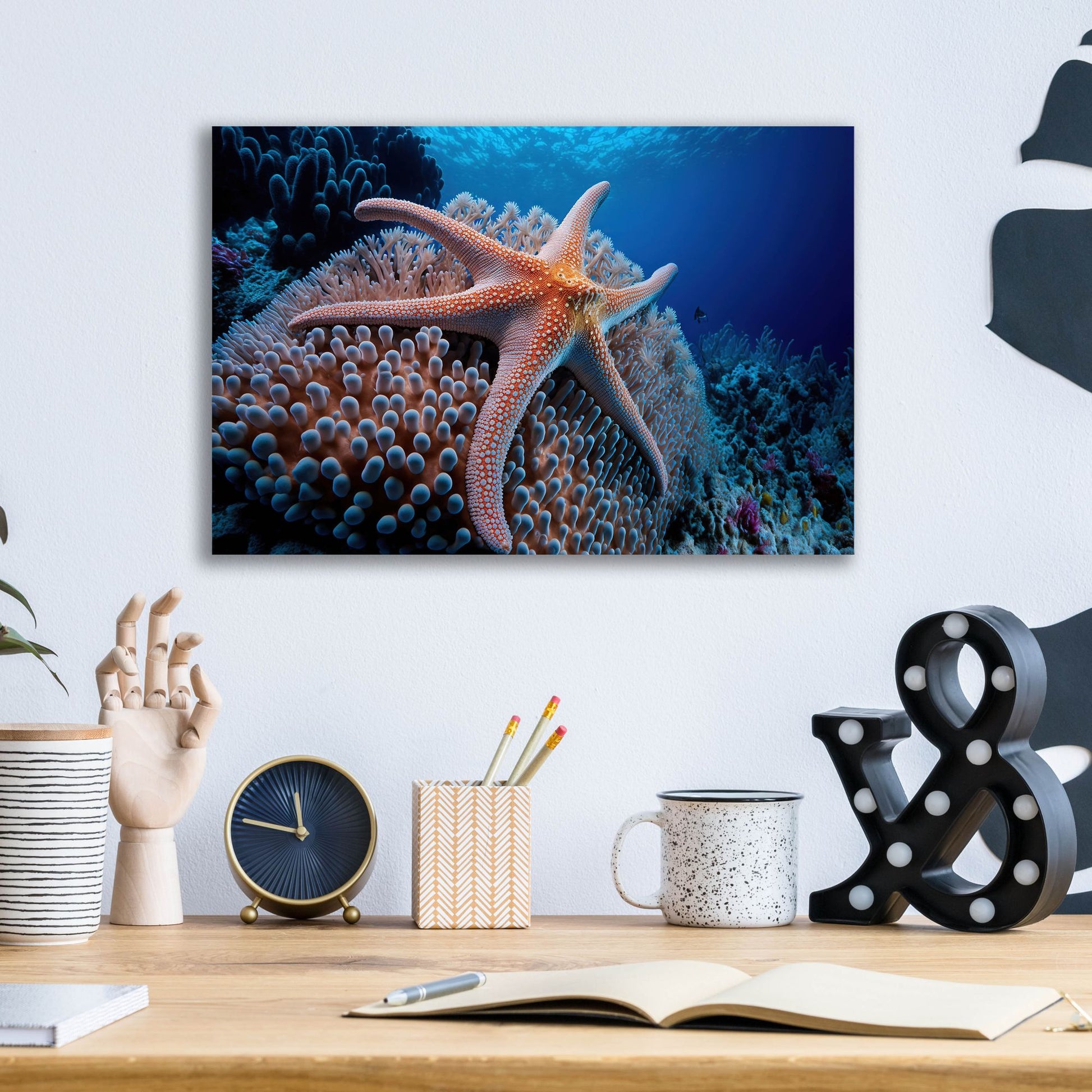 Epic Art 'Coral Starfish' by Epic Portfolio, Acrylic Glass Wall Art,16x12