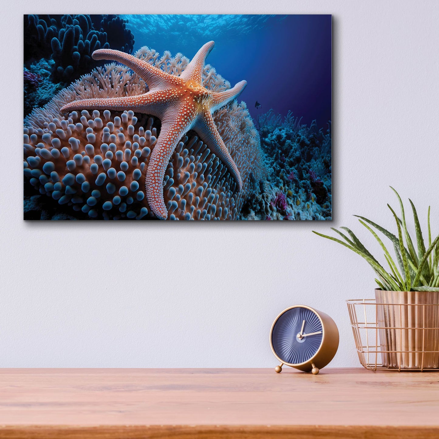 Epic Art 'Coral Starfish' by Epic Portfolio, Acrylic Glass Wall Art,16x12