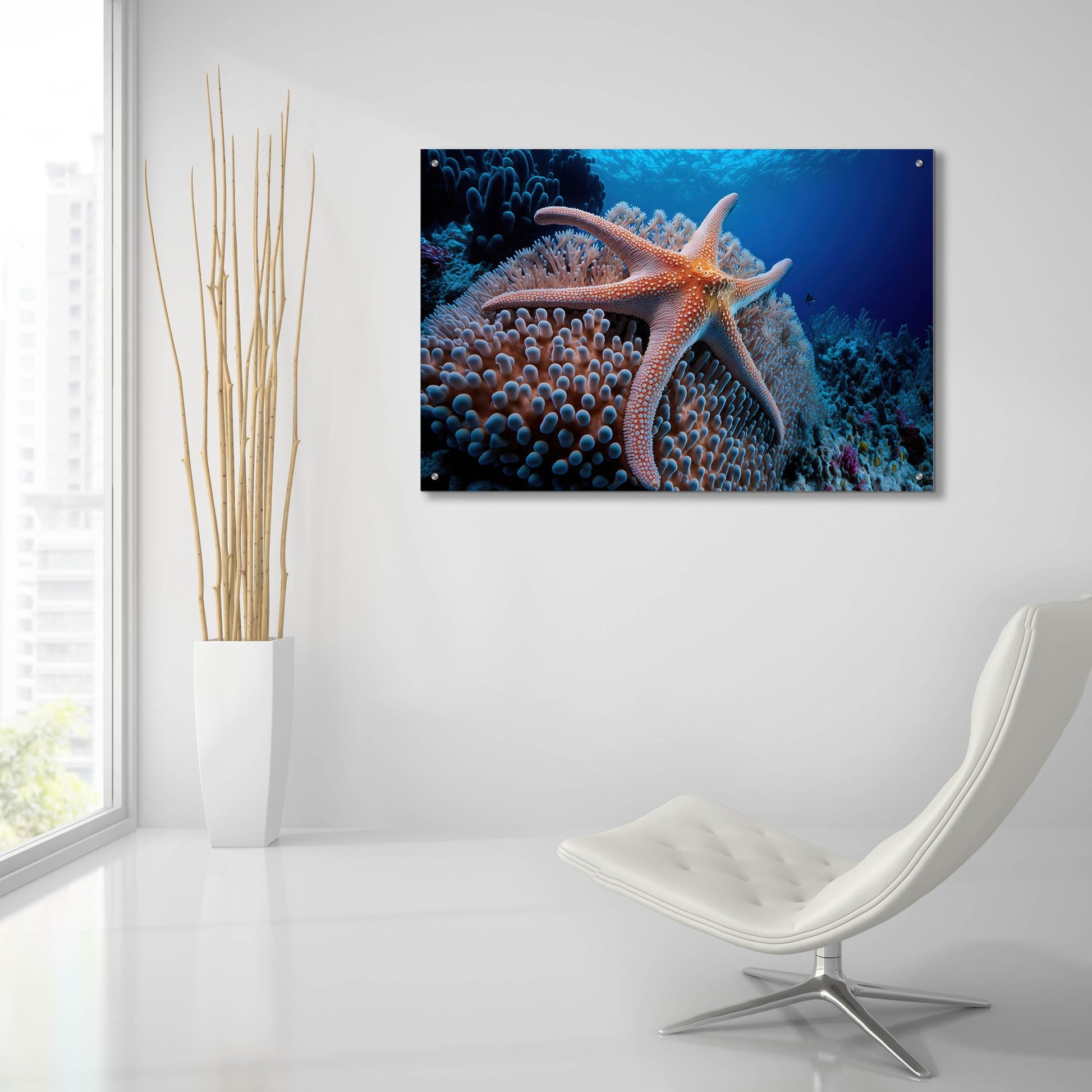 Epic Art 'Coral Starfish' by Epic Portfolio, Acrylic Glass Wall Art,36x24