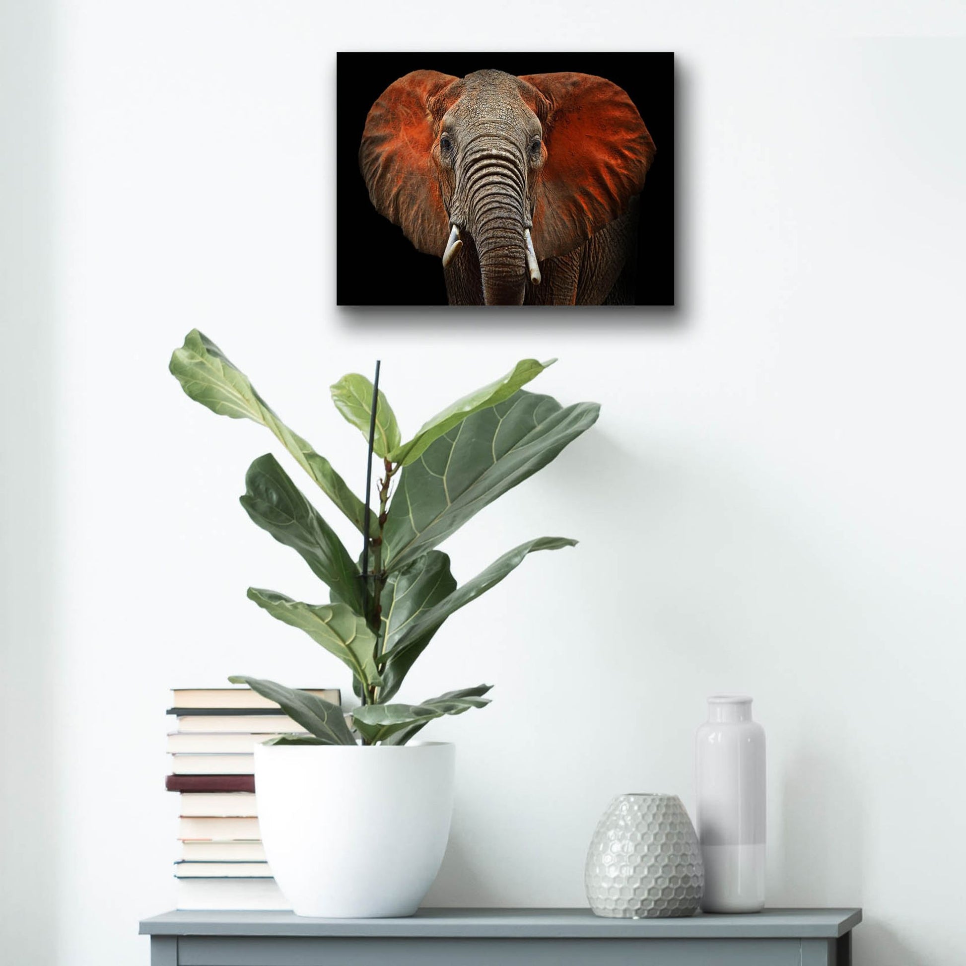 Epic Art 'Fire Elephant' by Epic Portfolio, Acrylic Glass Wall Art,16x12