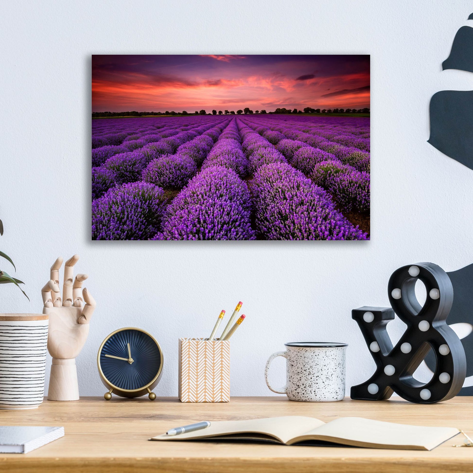 Epic Art 'Lavender Fields' by Epic Portfolio, Acrylic Glass Wall Art,16x12