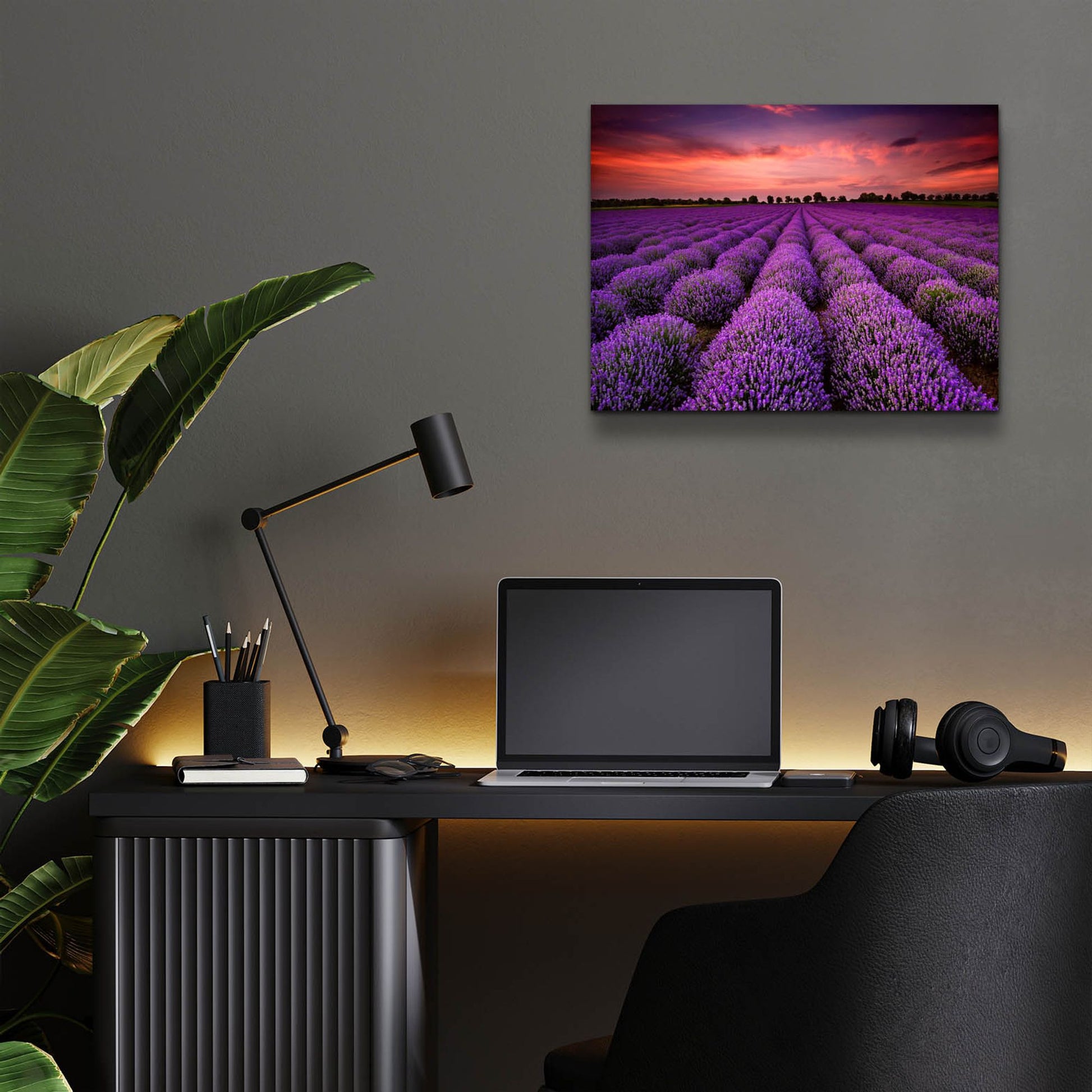 Epic Art 'Lavender Fields' by Epic Portfolio, Acrylic Glass Wall Art,16x12