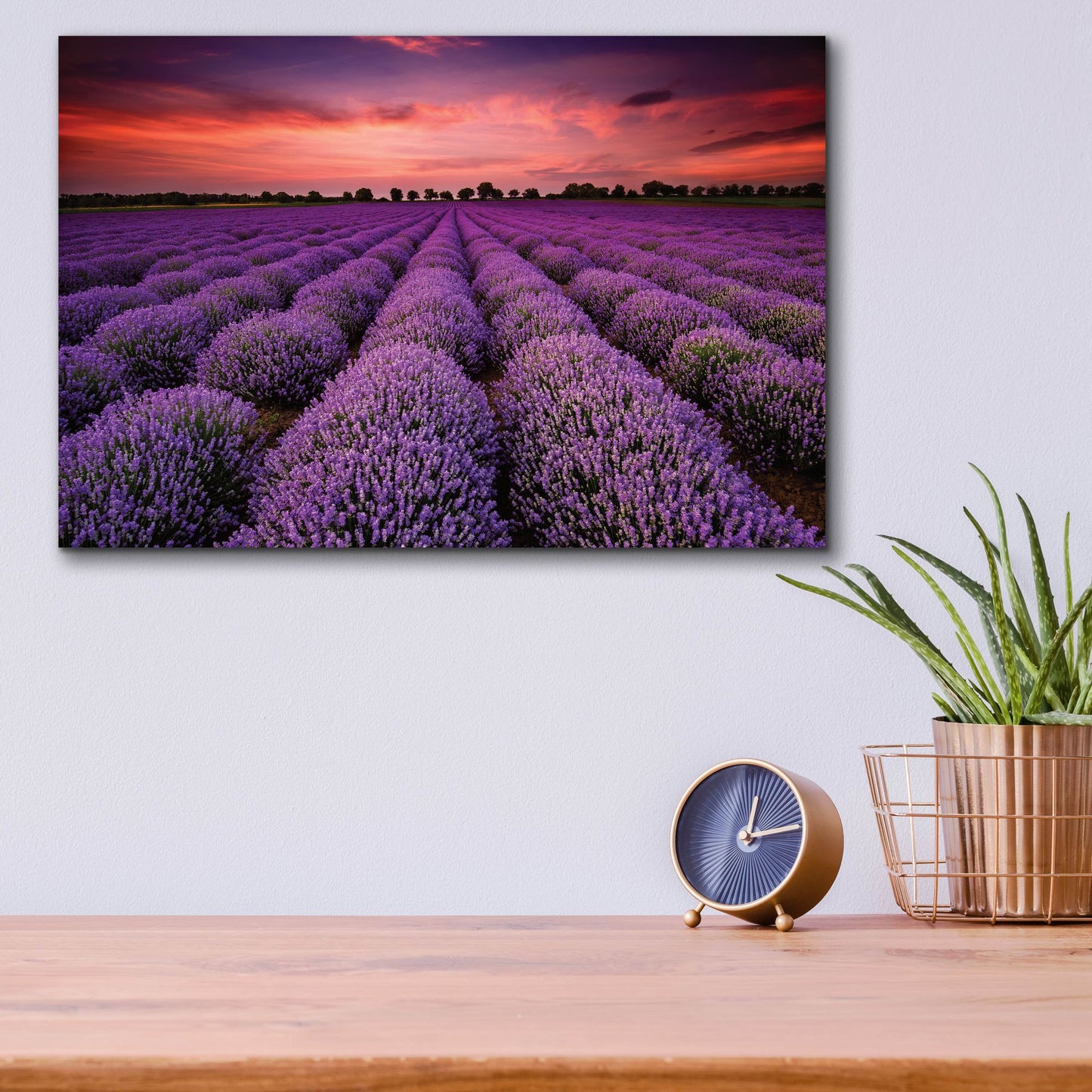 Epic Art 'Lavender Fields' by Epic Portfolio, Acrylic Glass Wall Art,16x12