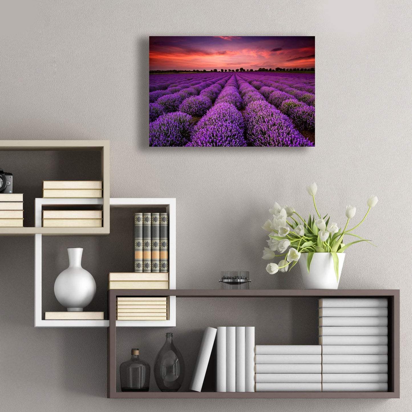 Epic Art 'Lavender Fields' by Epic Portfolio, Acrylic Glass Wall Art,24x16