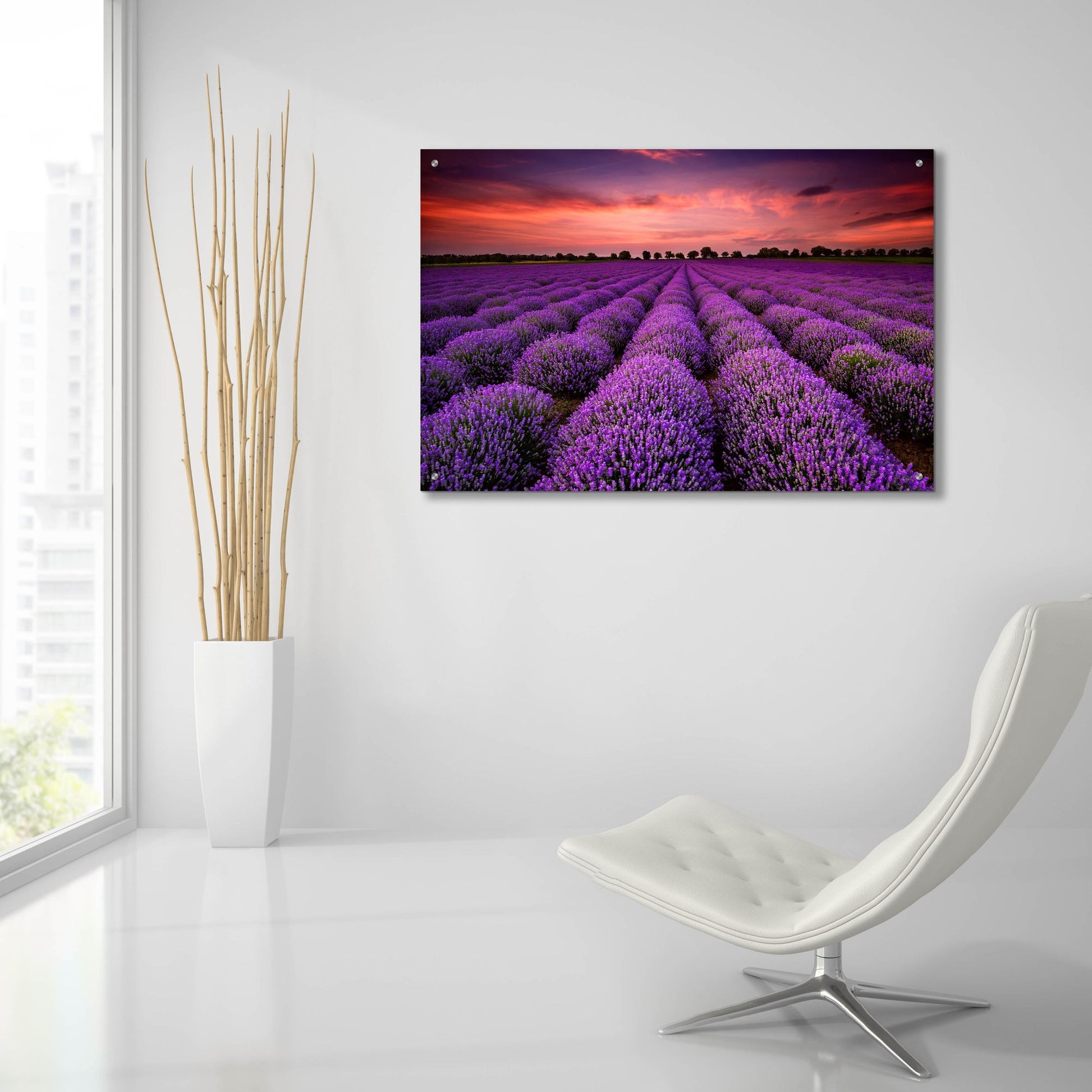 Epic Art 'Lavender Fields' by Epic Portfolio, Acrylic Glass Wall Art,36x24