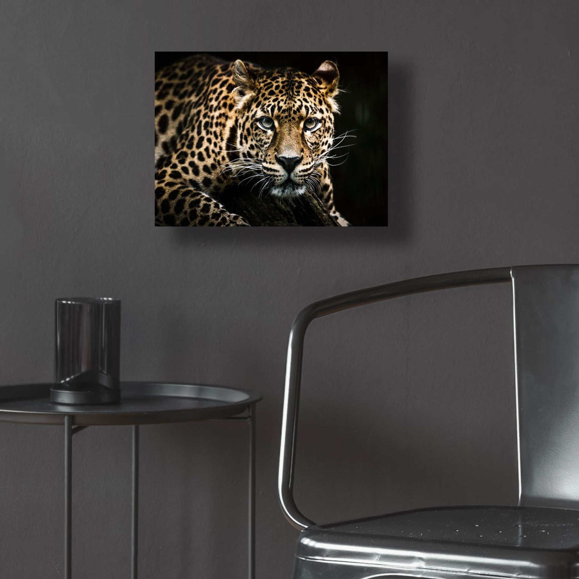 Epic Art 'Leopard on the Hunt' by Epic Portfolio, Acrylic Glass Wall Art,16x12