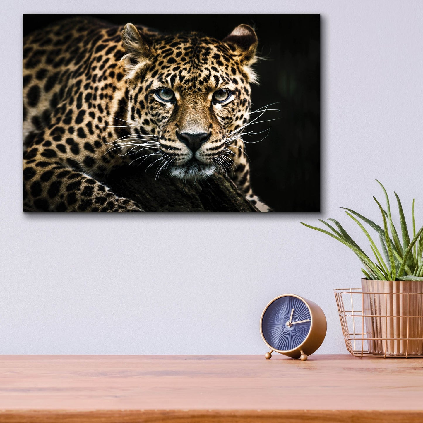 Epic Art 'Leopard on the Hunt' by Epic Portfolio, Acrylic Glass Wall Art,16x12