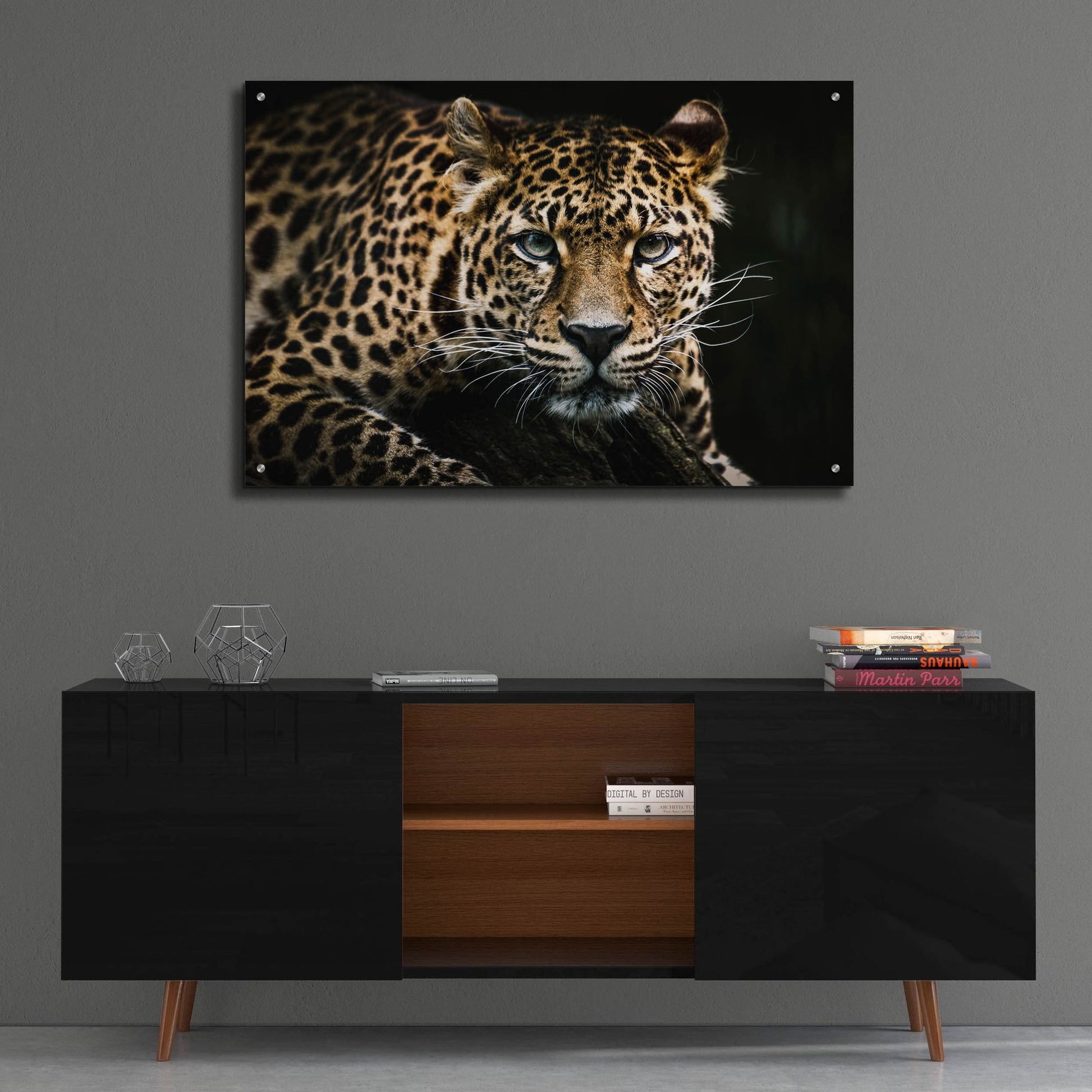 Epic Art 'Leopard on the Hunt' by Epic Portfolio, Acrylic Glass Wall Art,36x24