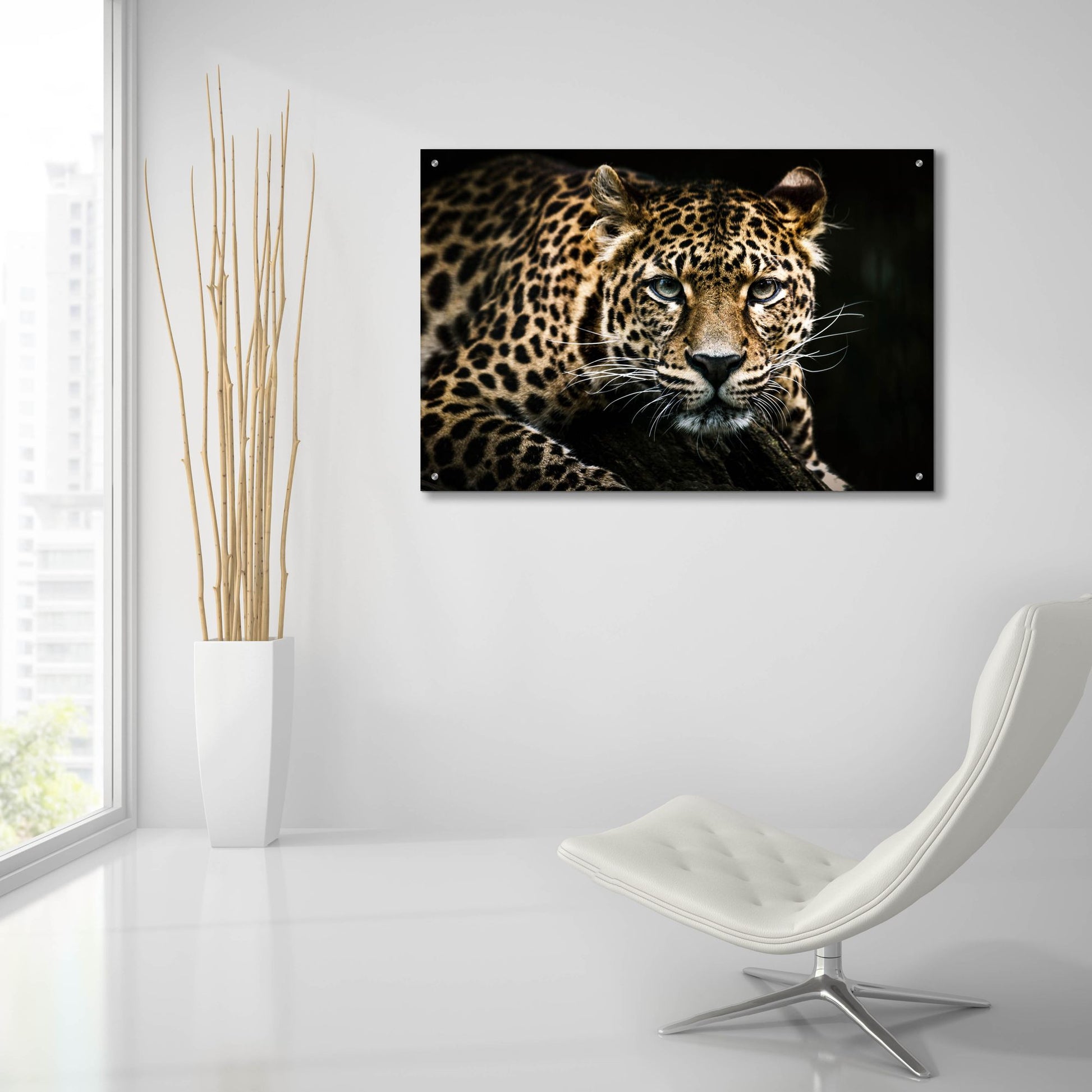 Epic Art 'Leopard on the Hunt' by Epic Portfolio, Acrylic Glass Wall Art,36x24