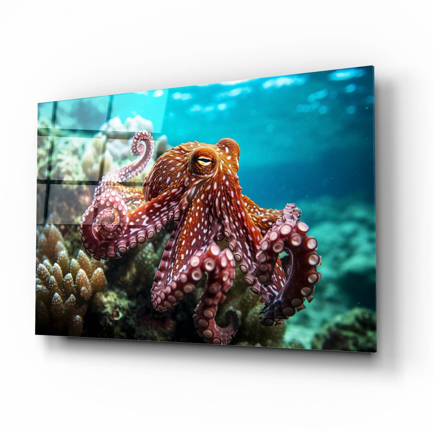 Epic Art 'Octopus at Sea' by Epic Portfolio, Acrylic Glass Wall Art,16x12