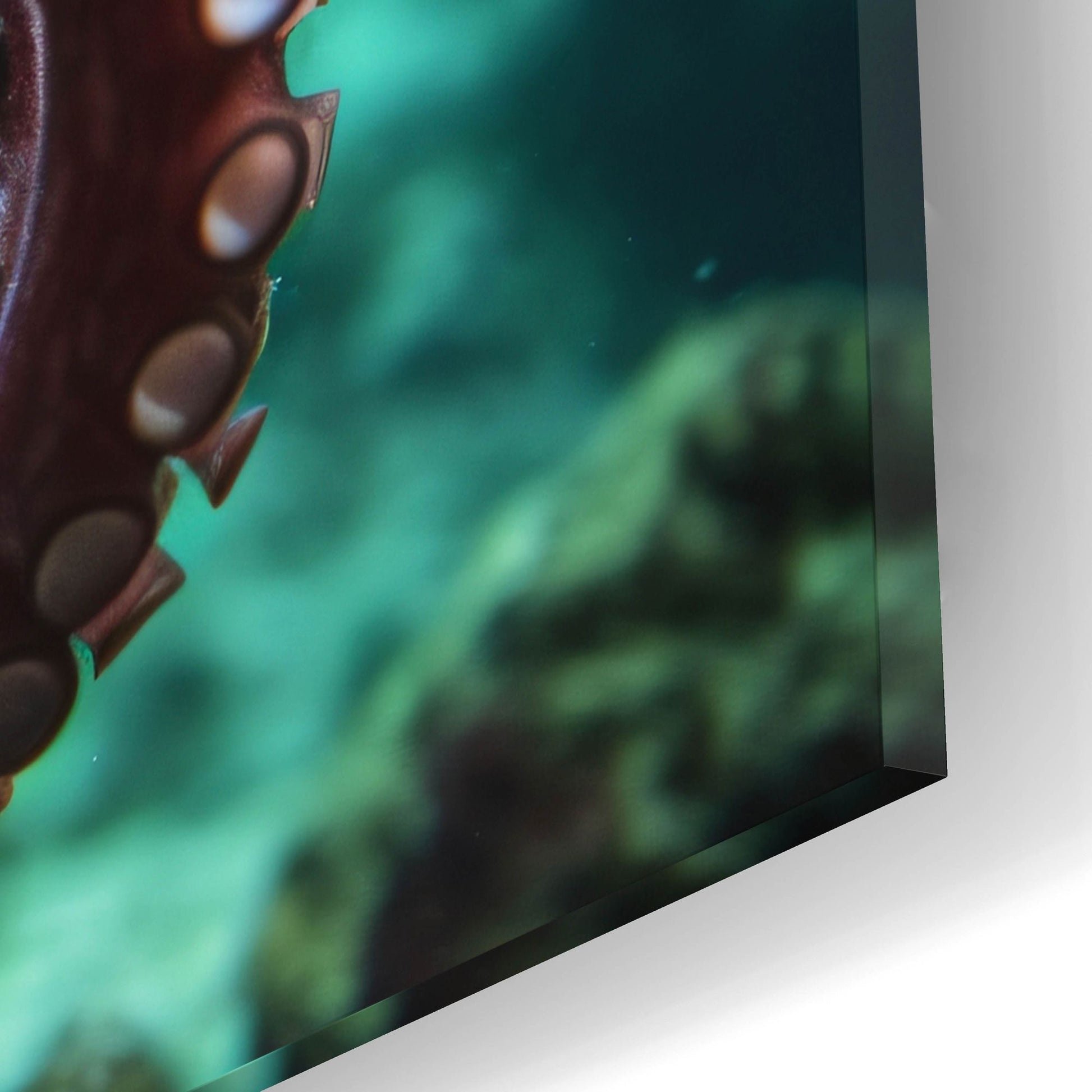 Epic Art 'Octopus at Sea' by Epic Portfolio, Acrylic Glass Wall Art,16x12